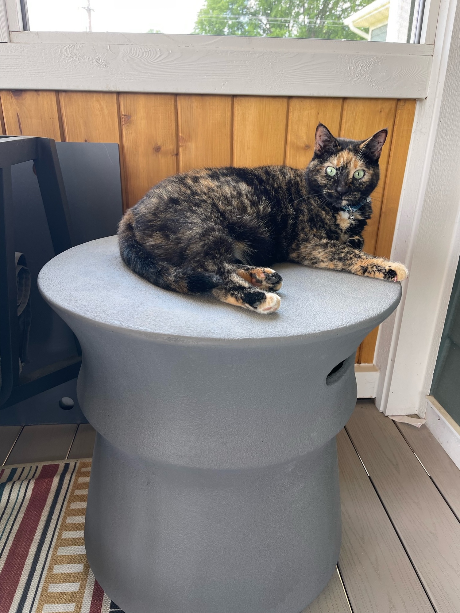 A Screened-In Porch in Ann Arbor Surrounded by Nature - Photo 7