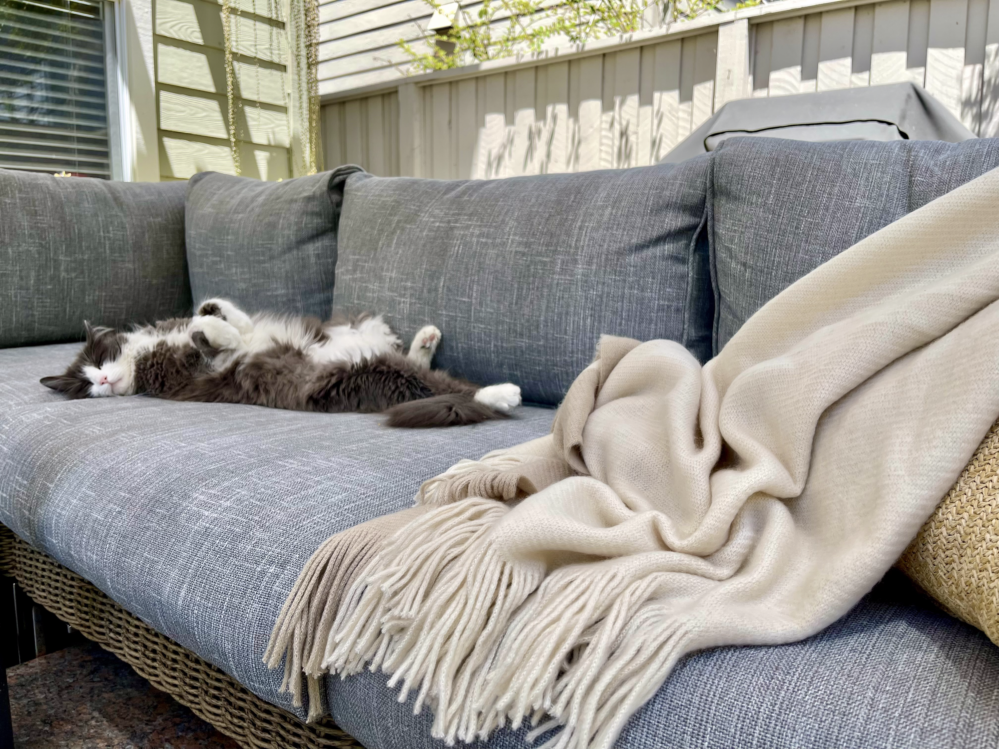 The Perfect Outdoor Dining Room in Redwood City - Photo 7