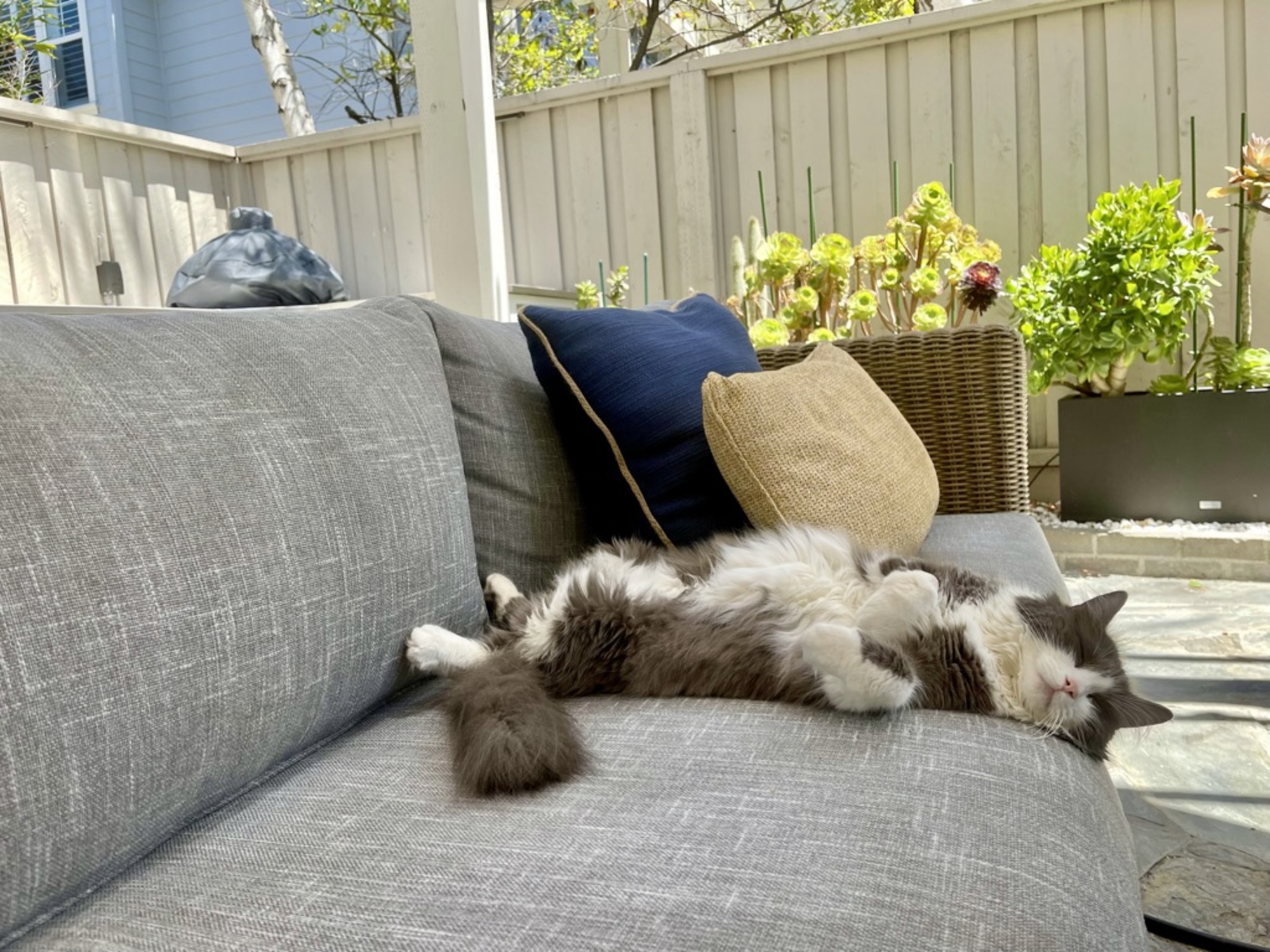 The Perfect Outdoor Dining Room in Redwood City - Photo 8