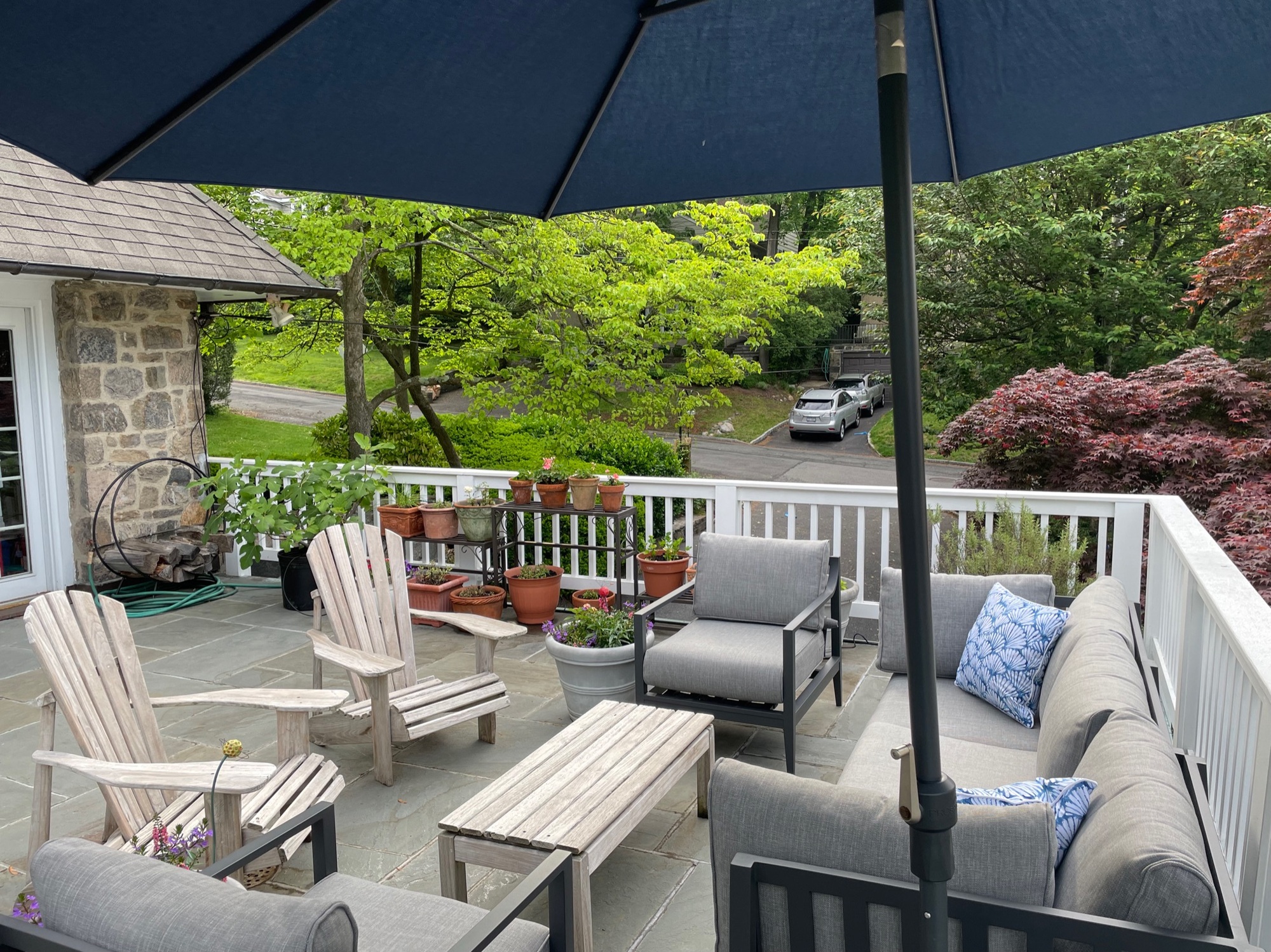 A Charming Garden and Patio in White Plains - Photo 6