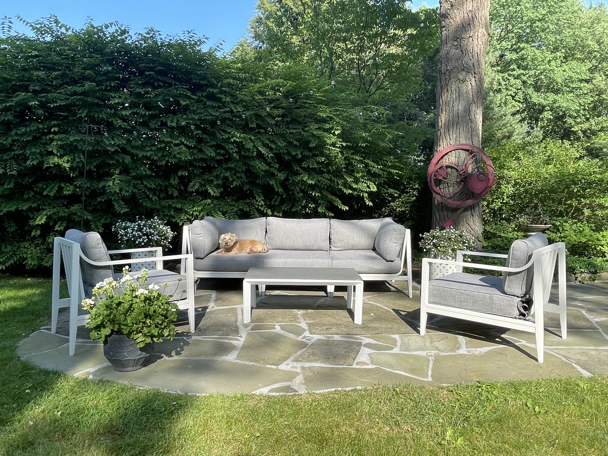 A Vibrant Garden Setting in Mt. Kisco, NY - Photo 5