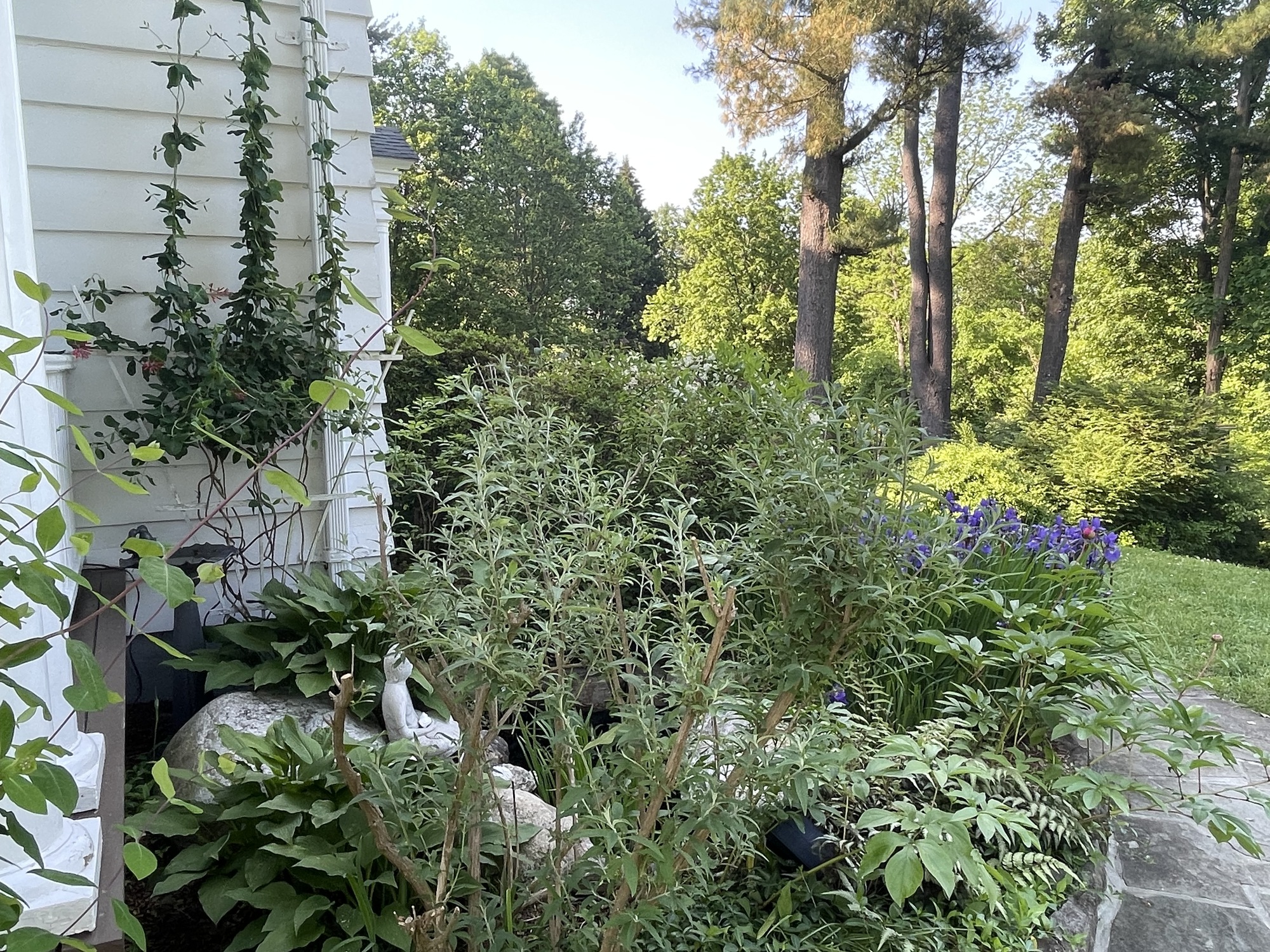 A Vibrant Garden Setting in Mt. Kisco, NY - Photo 6