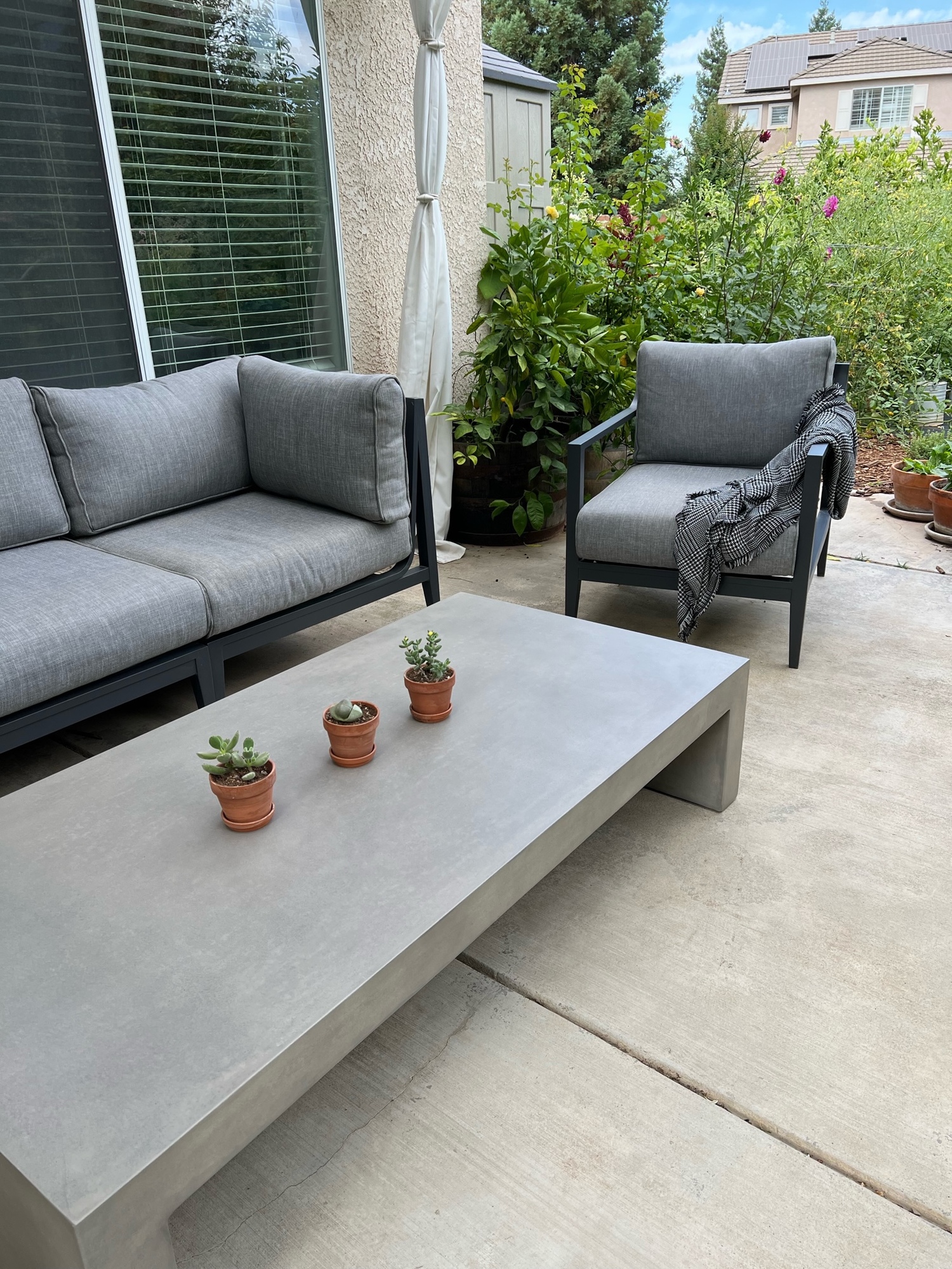 A Patio Under a Trellis of Kiwis in Fresno, CA - Photo 3