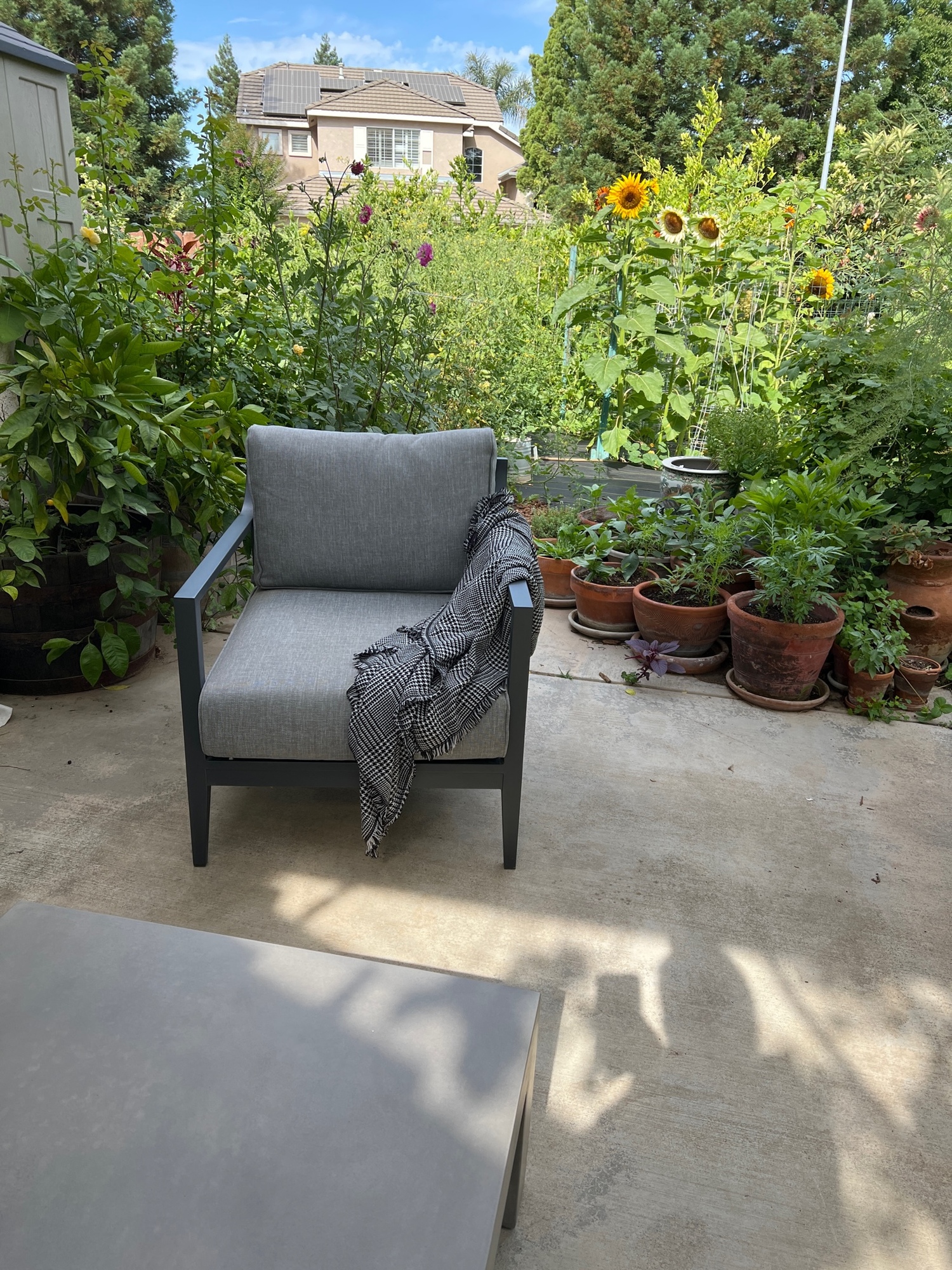A Patio Under a Trellis of Kiwis in Fresno, CA - Photo 4
