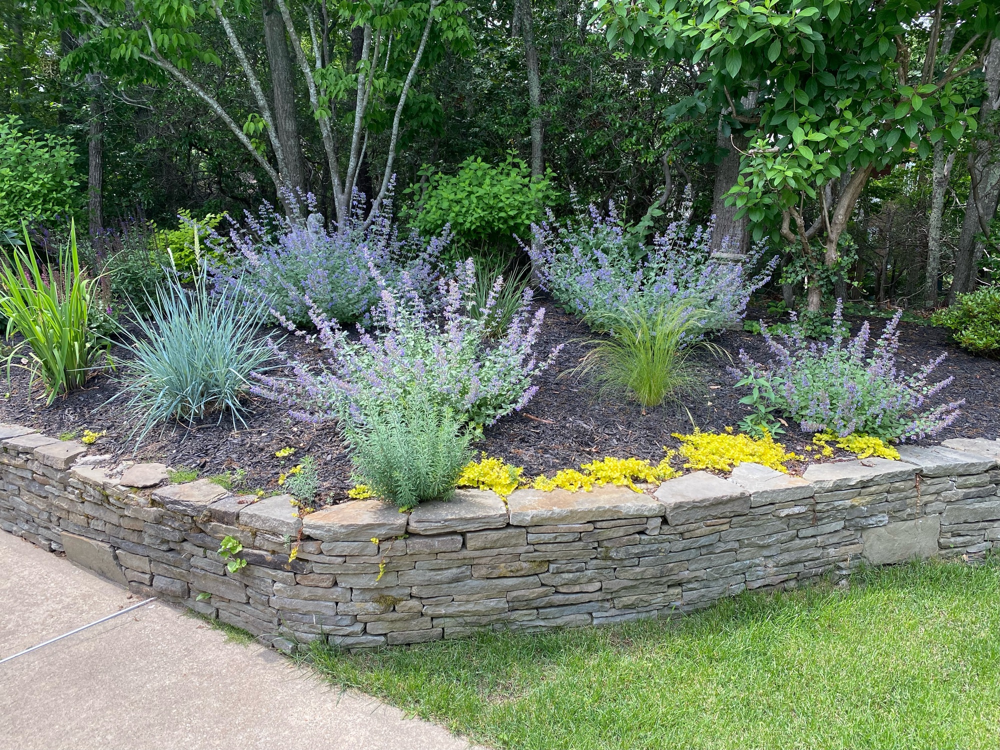 A Family’s Refreshed Poolside Backyard in Sag Harbor, NY - Photo 5