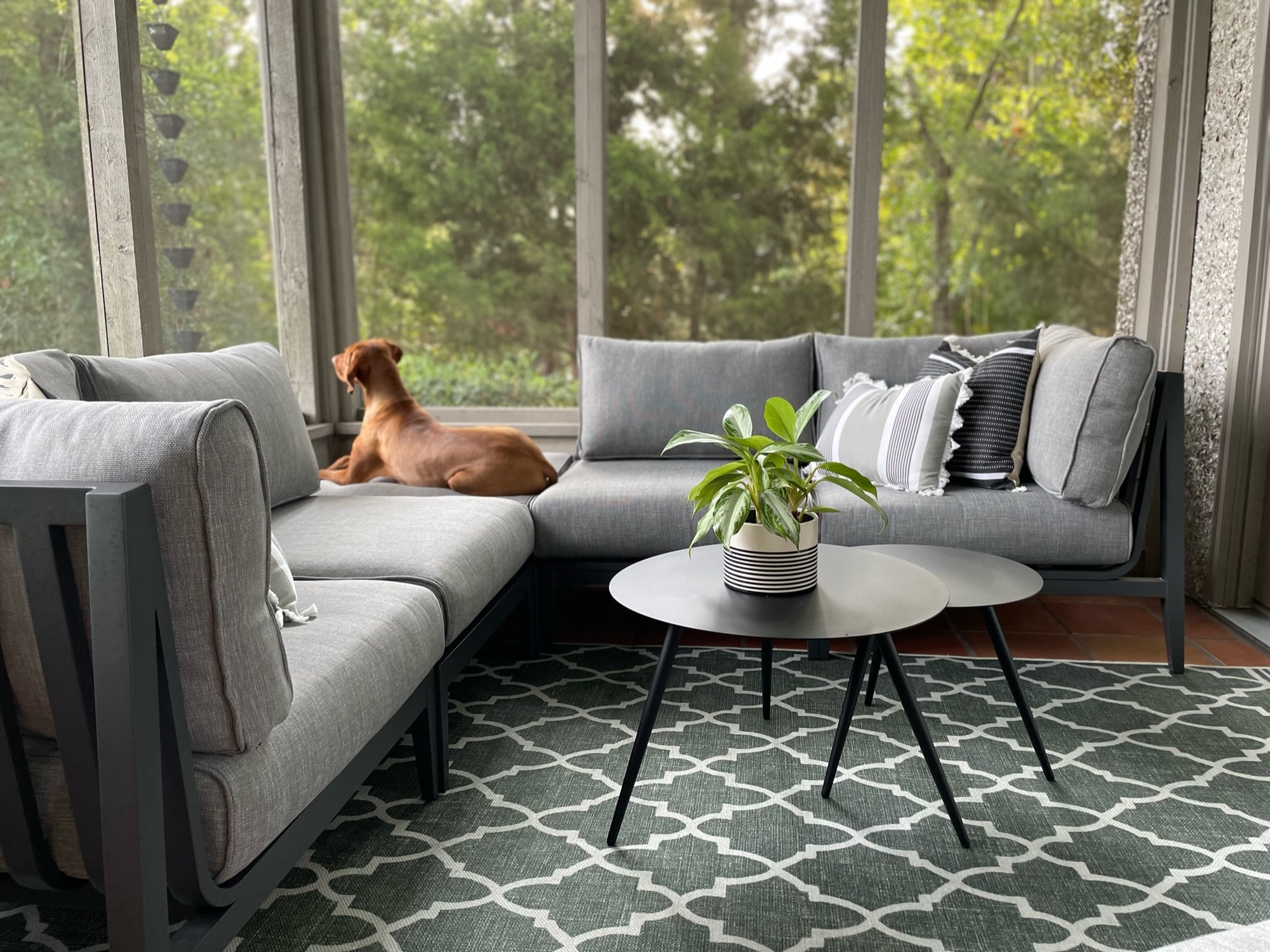 An All-Seasons Oasis From Front to Backyard - Photo 1