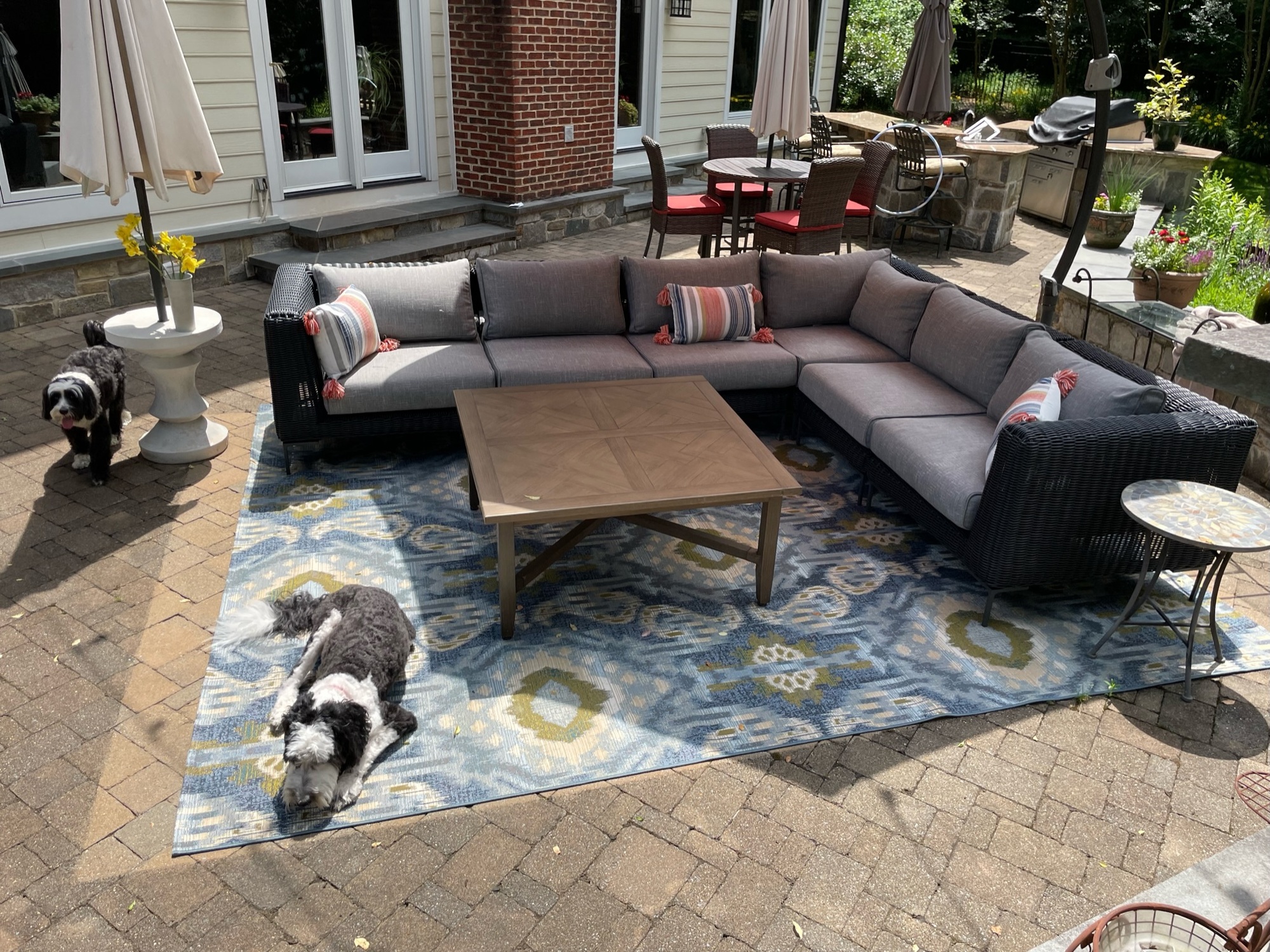 An Animal Lover’s Spacious Backyard in Potomac, MD - Photo 2