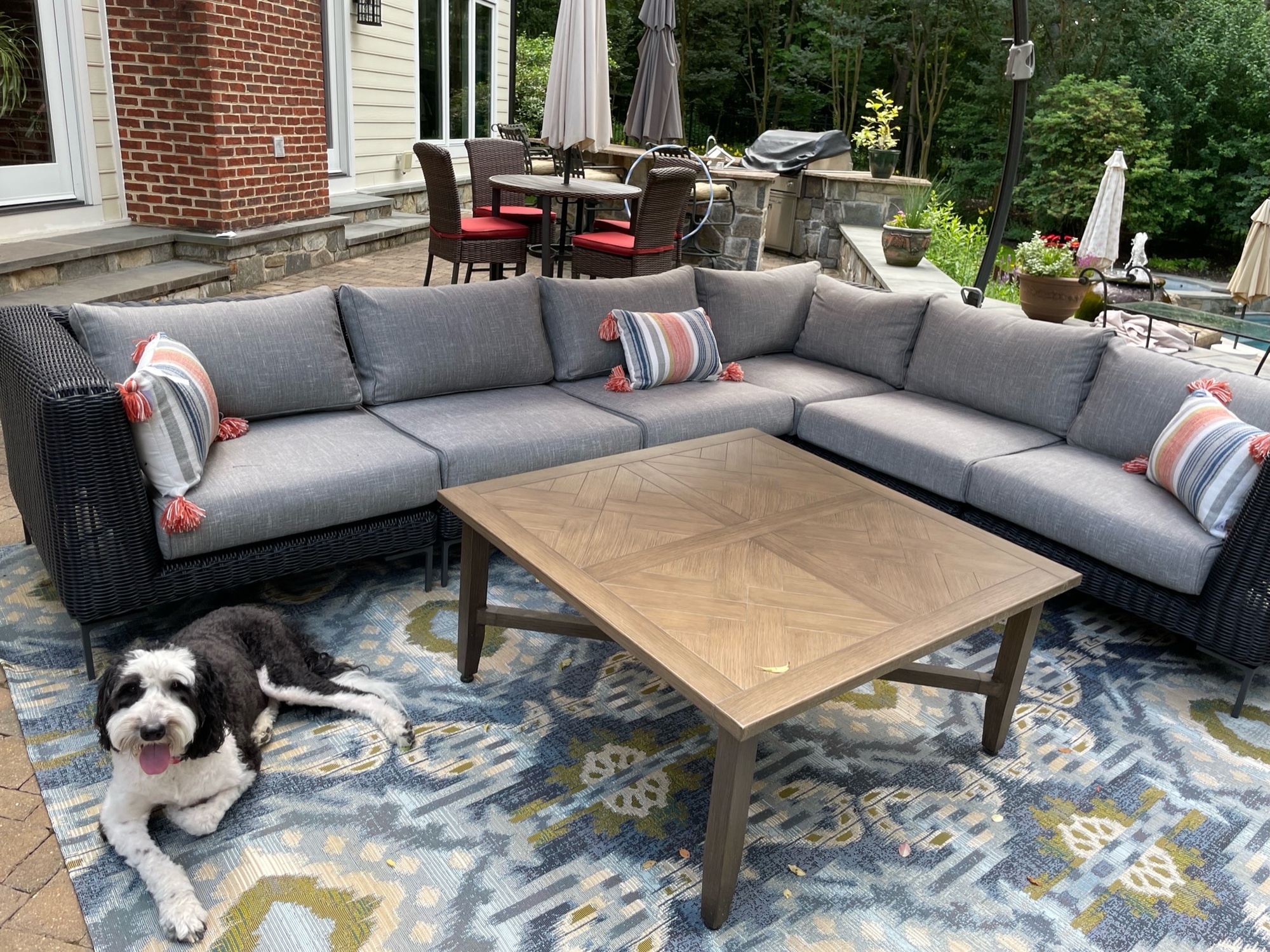 An Animal Lover’s Spacious Backyard in Potomac, MD - Photo 4