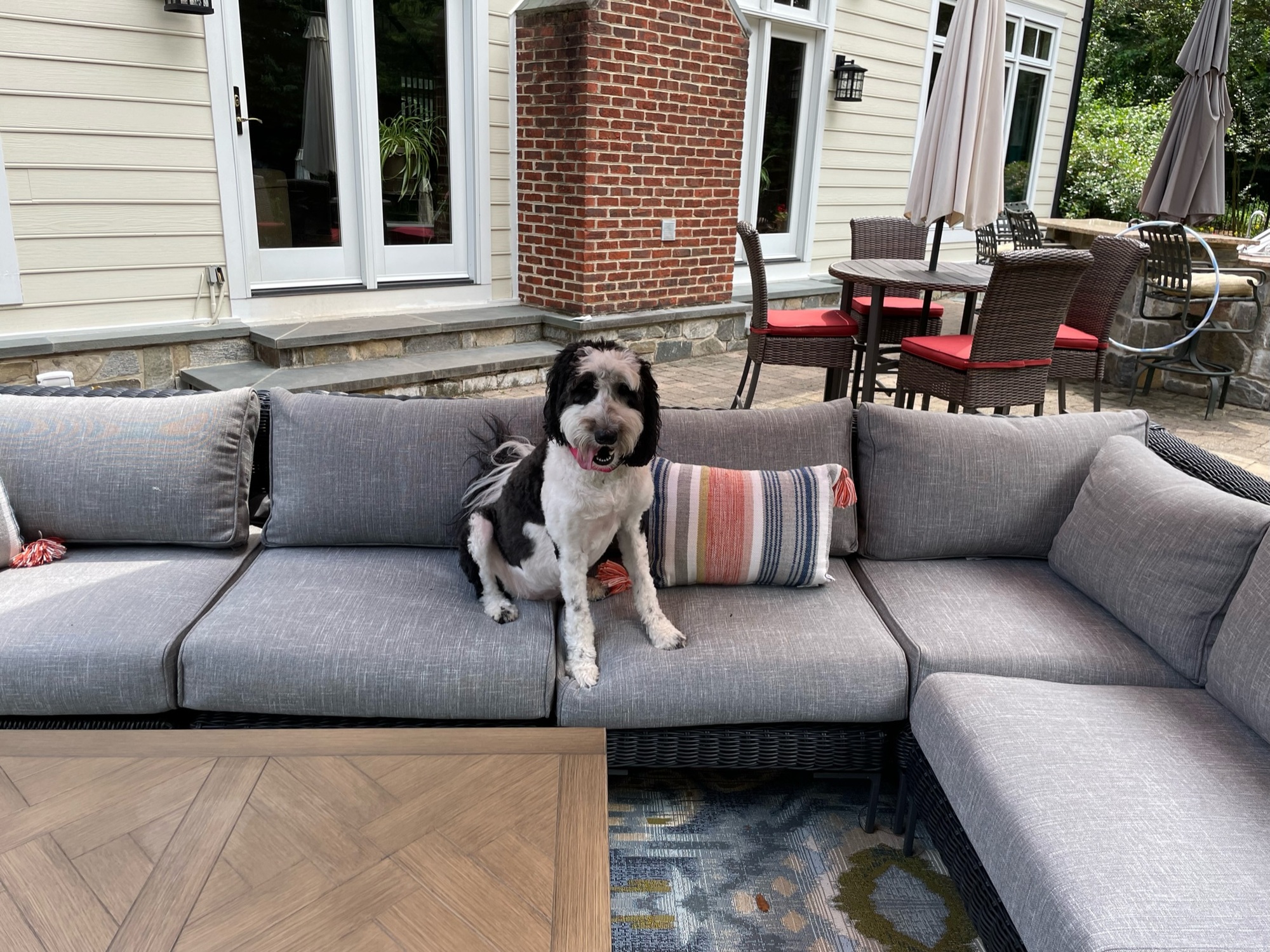 An Animal Lover’s Spacious Backyard in Potomac, MD - Photo 5