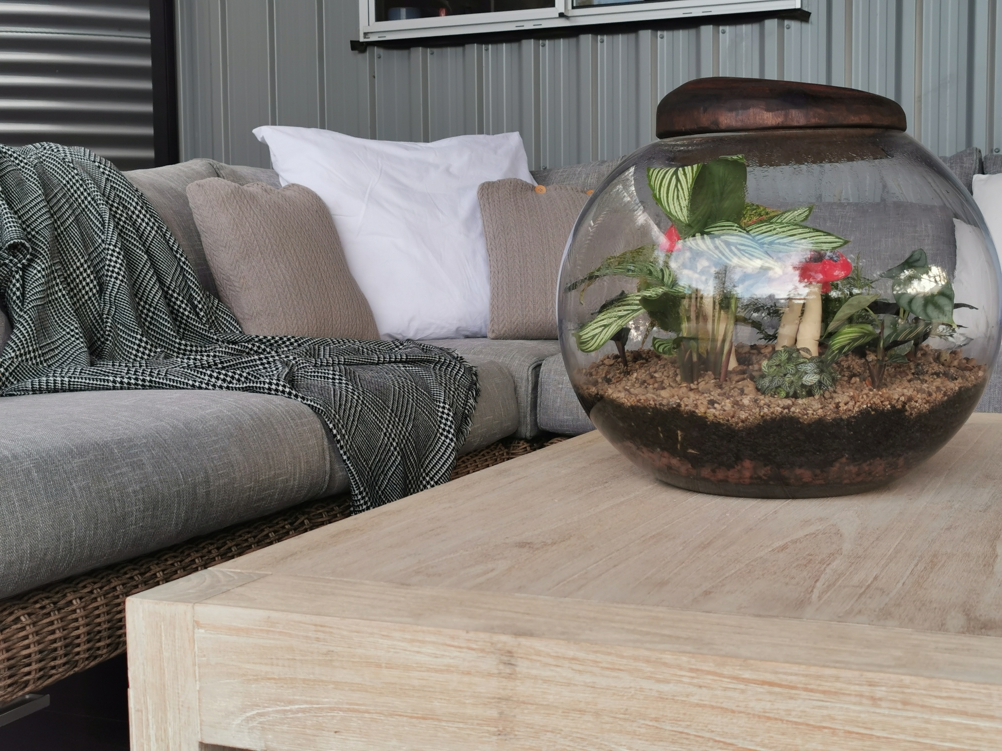 A Family’s Lush Garden and Entertainment Space in Mooloolah Valley, QLD - Photo 4