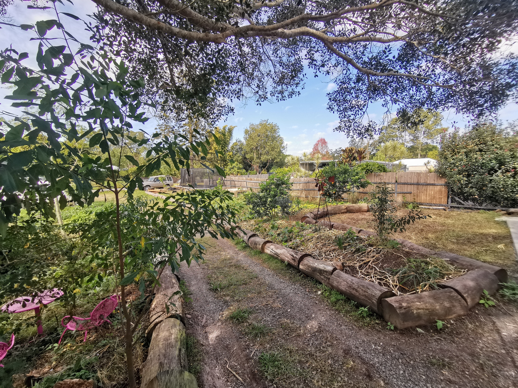 A Family’s Lush Garden and Entertainment Space in Mooloolah Valley, QLD - Photo 8