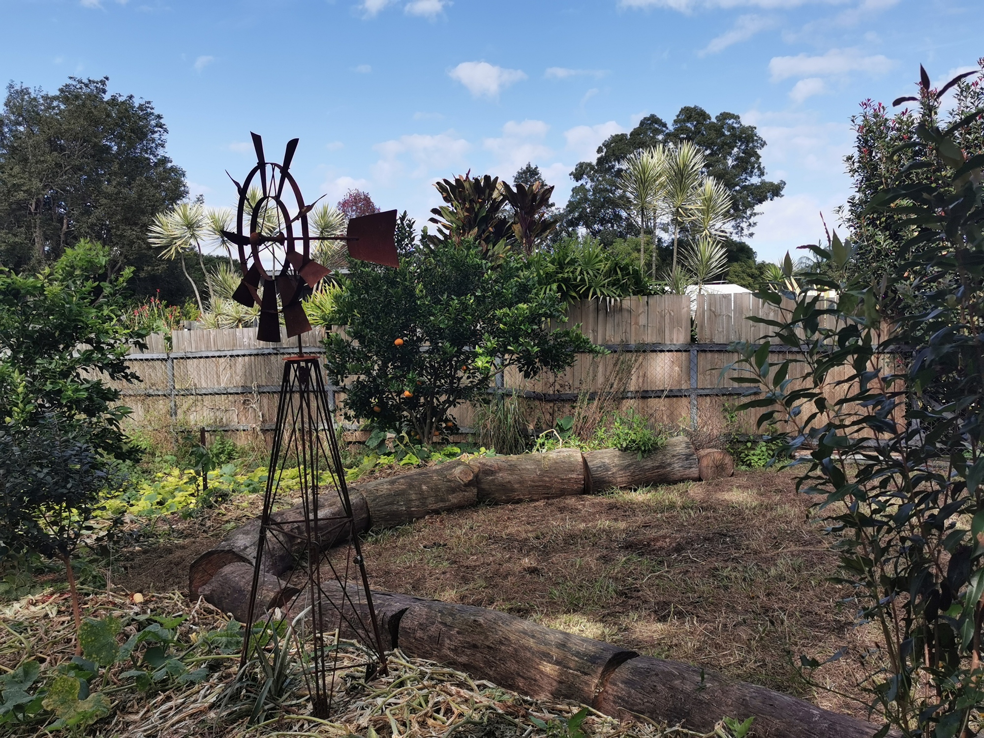 A Family’s Lush Garden and Entertainment Space in Mooloolah Valley, QLD - Photo 9
