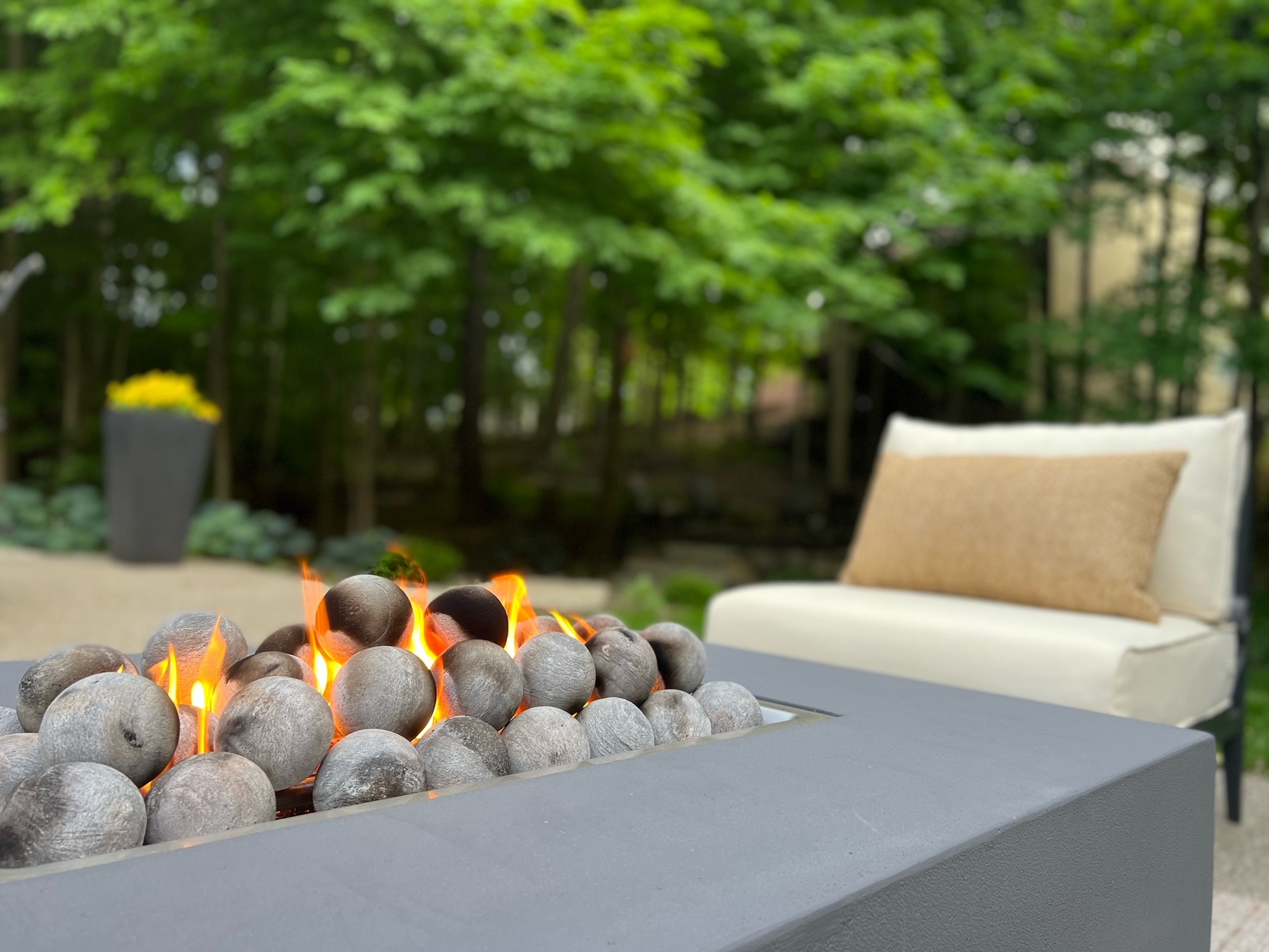 A Treed Backyard and Wildlife Habitat in Indiana - Photo 5