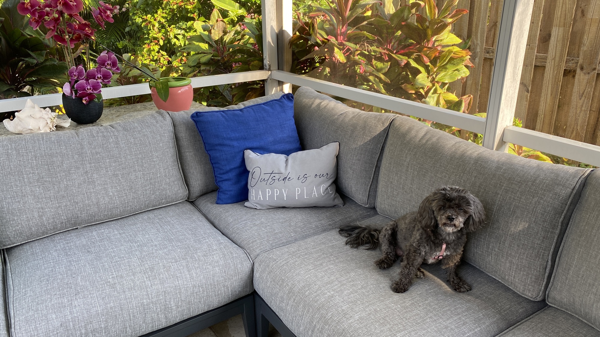 A Tropical Resort In Their Own Florida Backyard - Photo 2