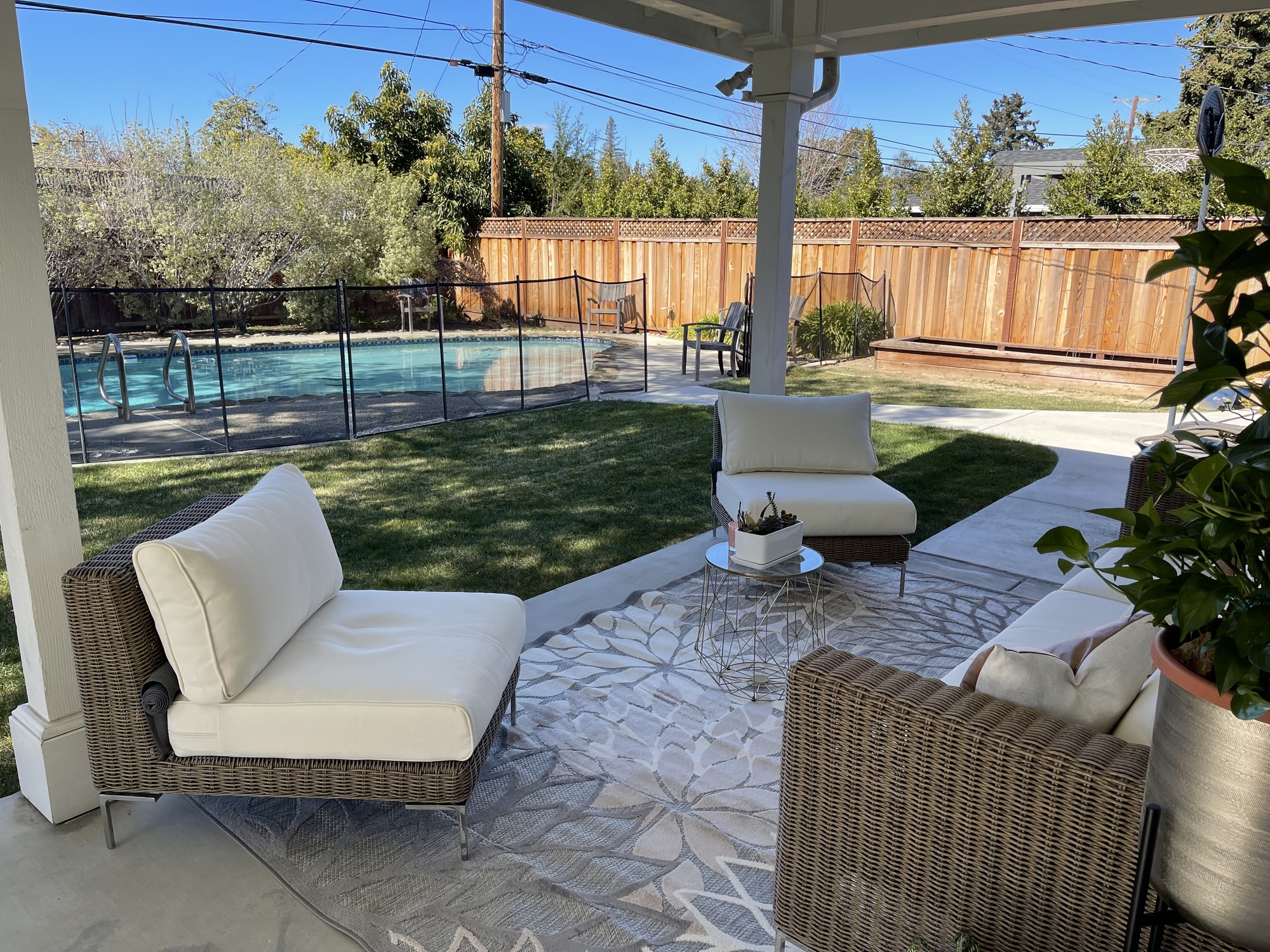 A Plant Lover’s Outdoor Oasis - Photo 3