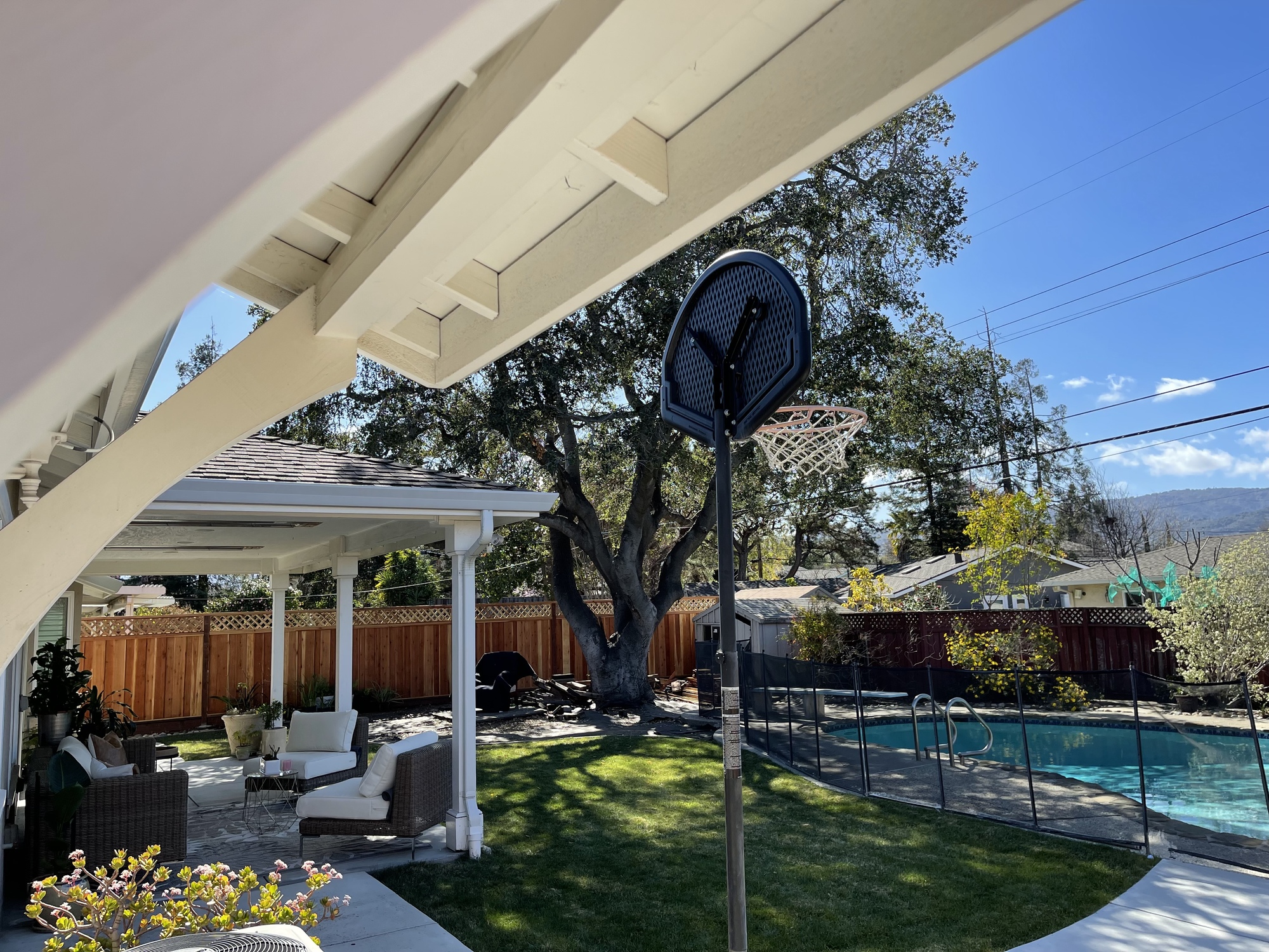 A Plant Lover’s Outdoor Oasis - Photo 6