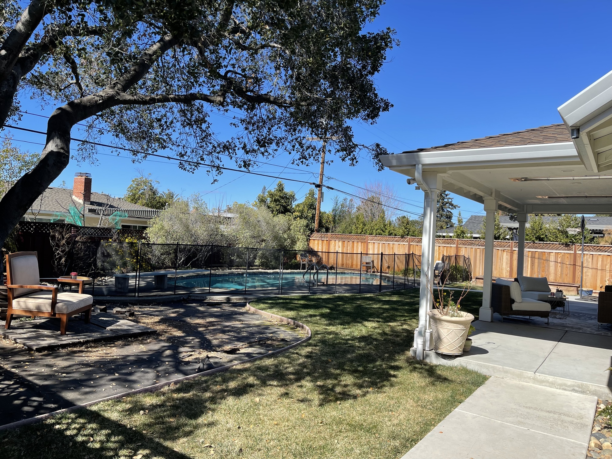 A Plant Lover’s Outdoor Oasis - Photo 7