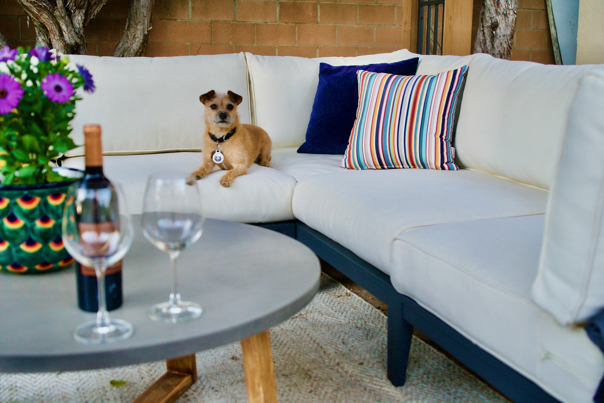 An ER Doctor’s Space for Peace and Quiet - Photo 3