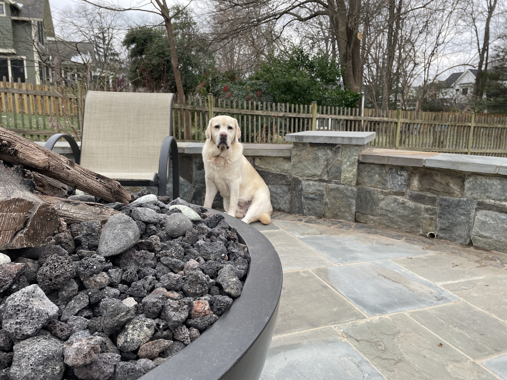 Native Plants, Chandeliers, and Gorgeous Lighting in Virginia - Photo 6