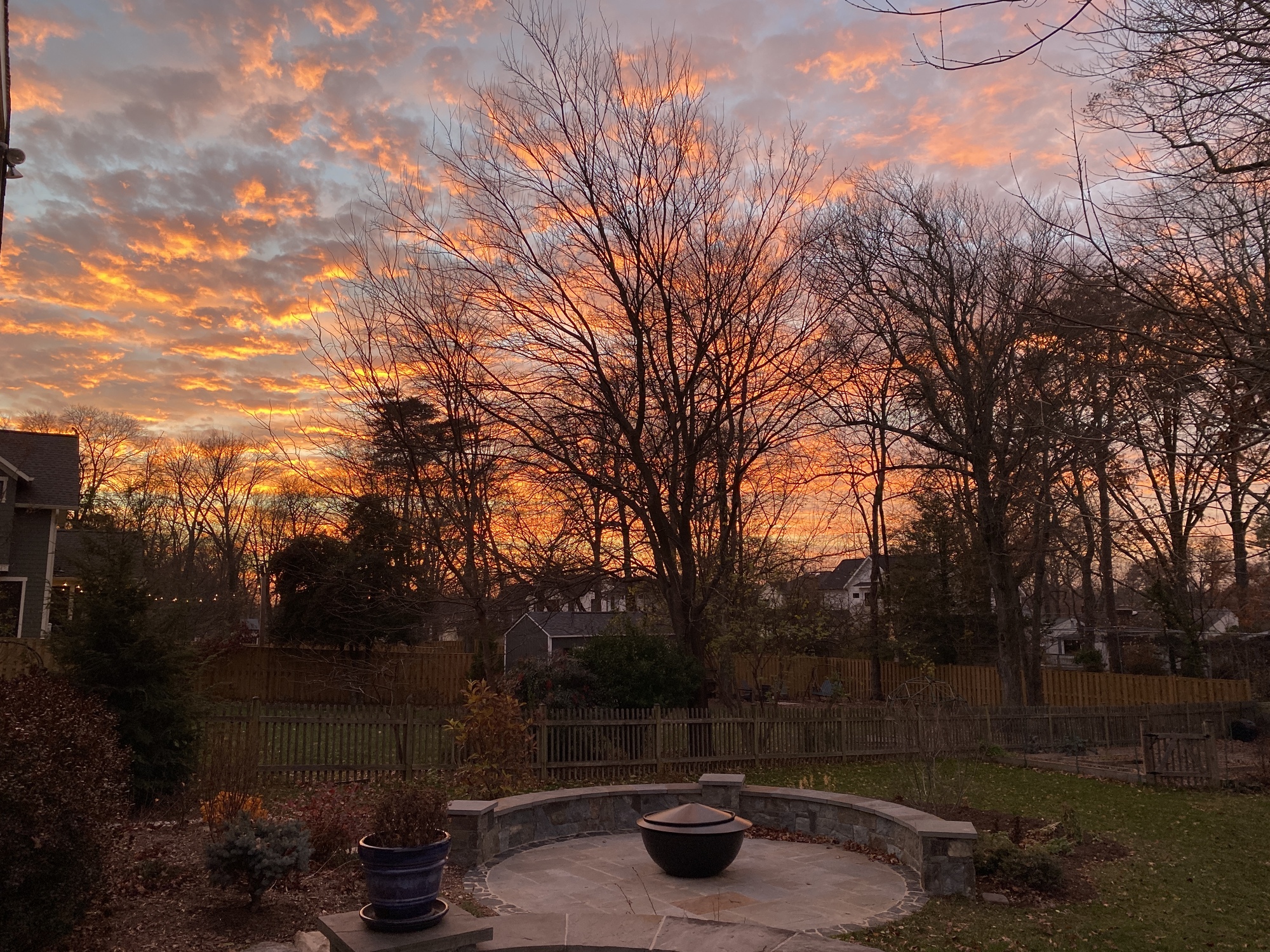 Native Plants, Chandeliers, and Gorgeous Lighting in Virginia - Photo 8