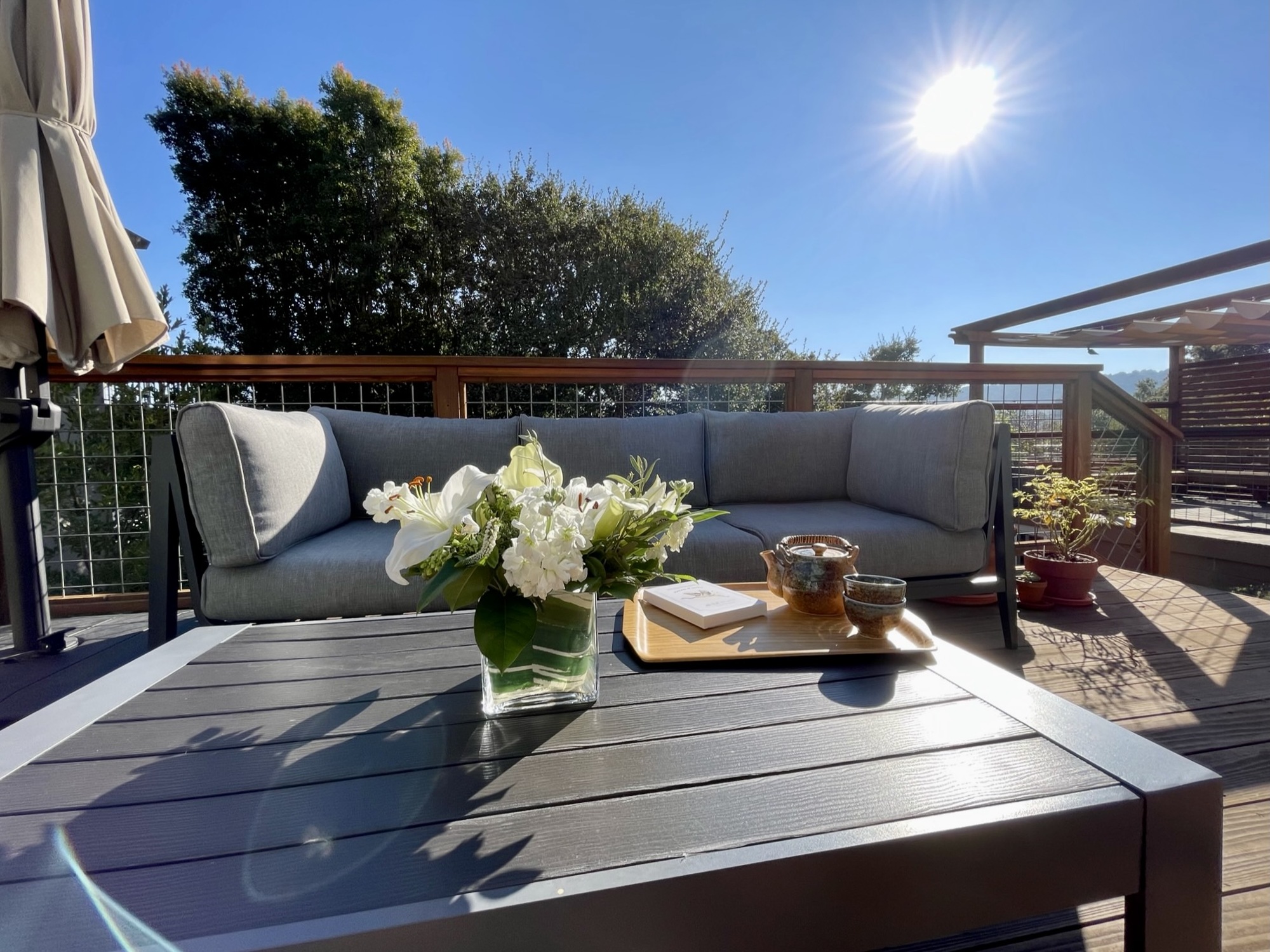 A Family-Friendly Backyard in Belmont, CA - Photo 3