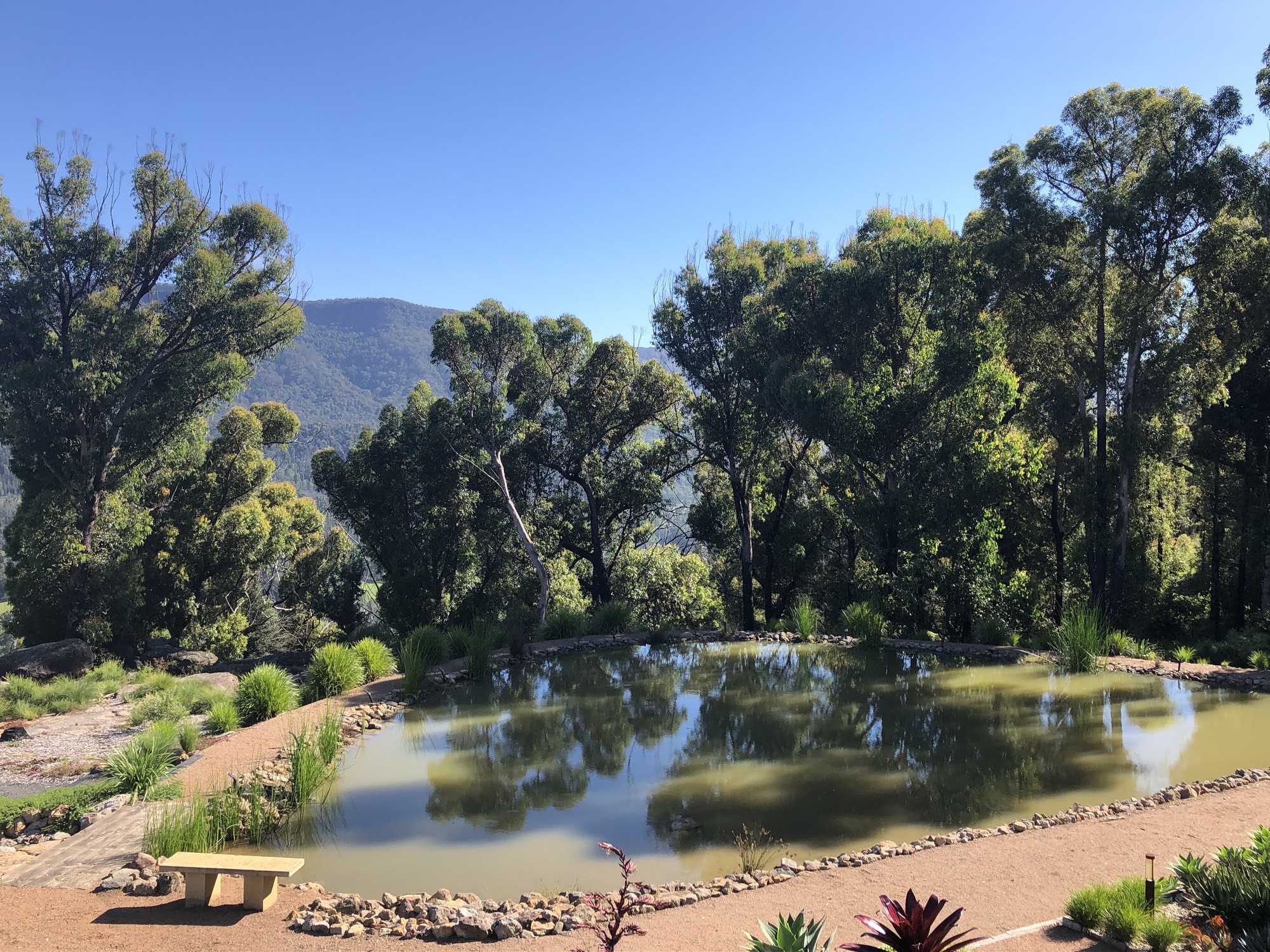 A Veranda with a View in Kangaroo Valley - Photo 8