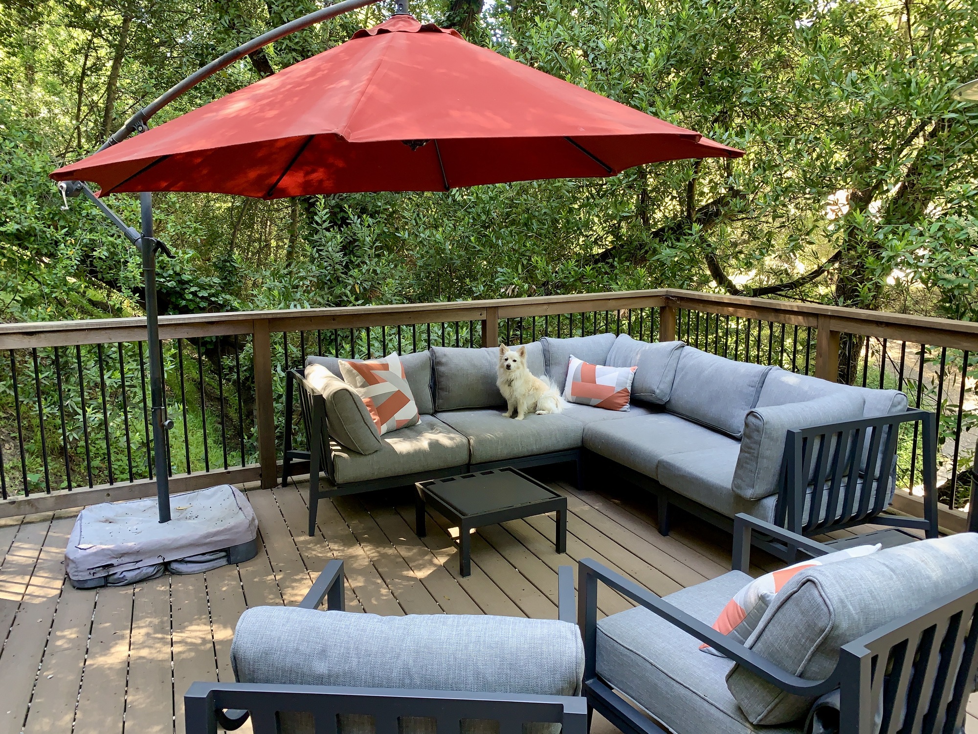 A Woodsy Deck in Oakland, CA - Photo 4