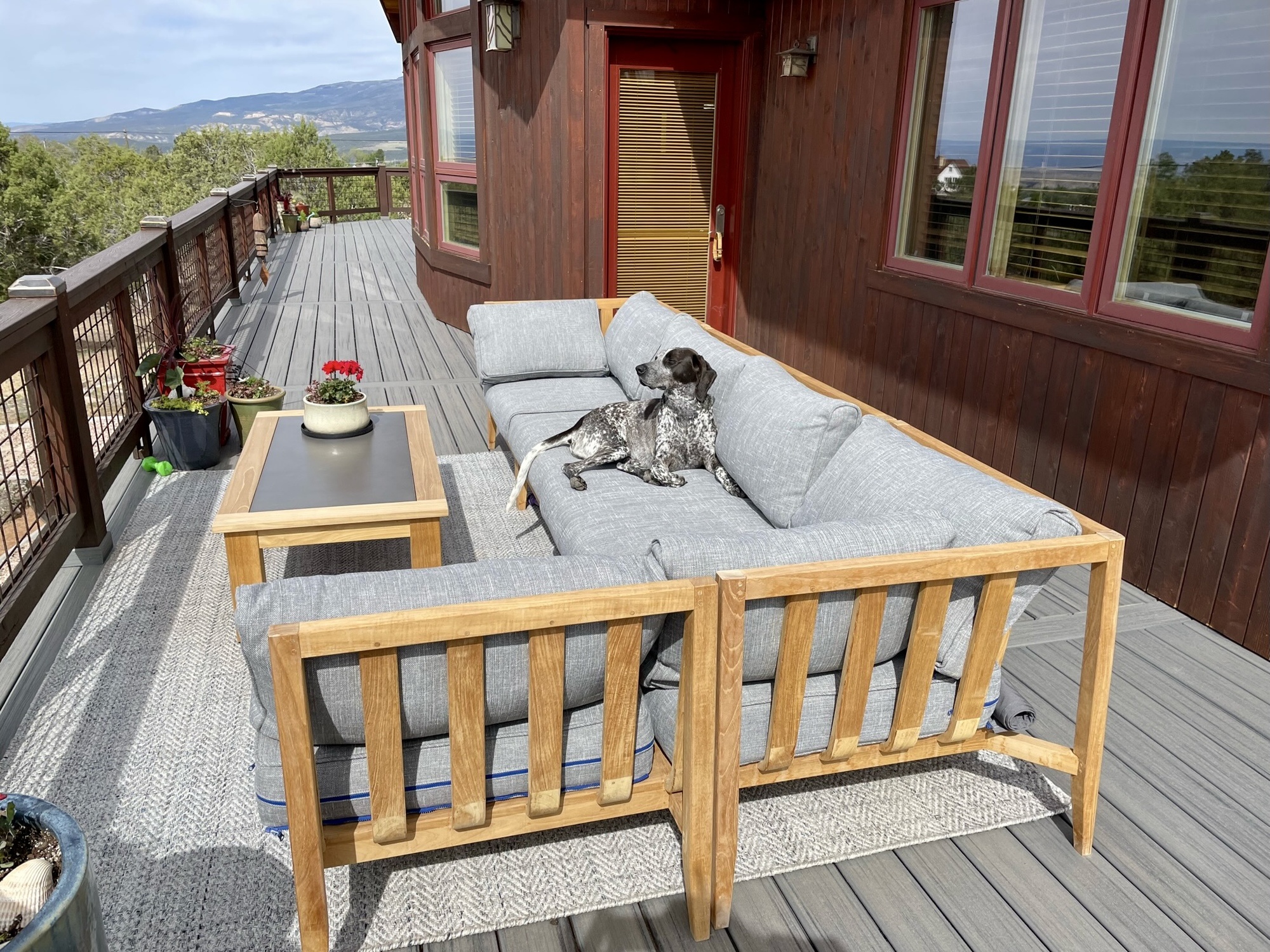 A Woodsy Wraparound Deck in Cedaredge, CO - Photo 3