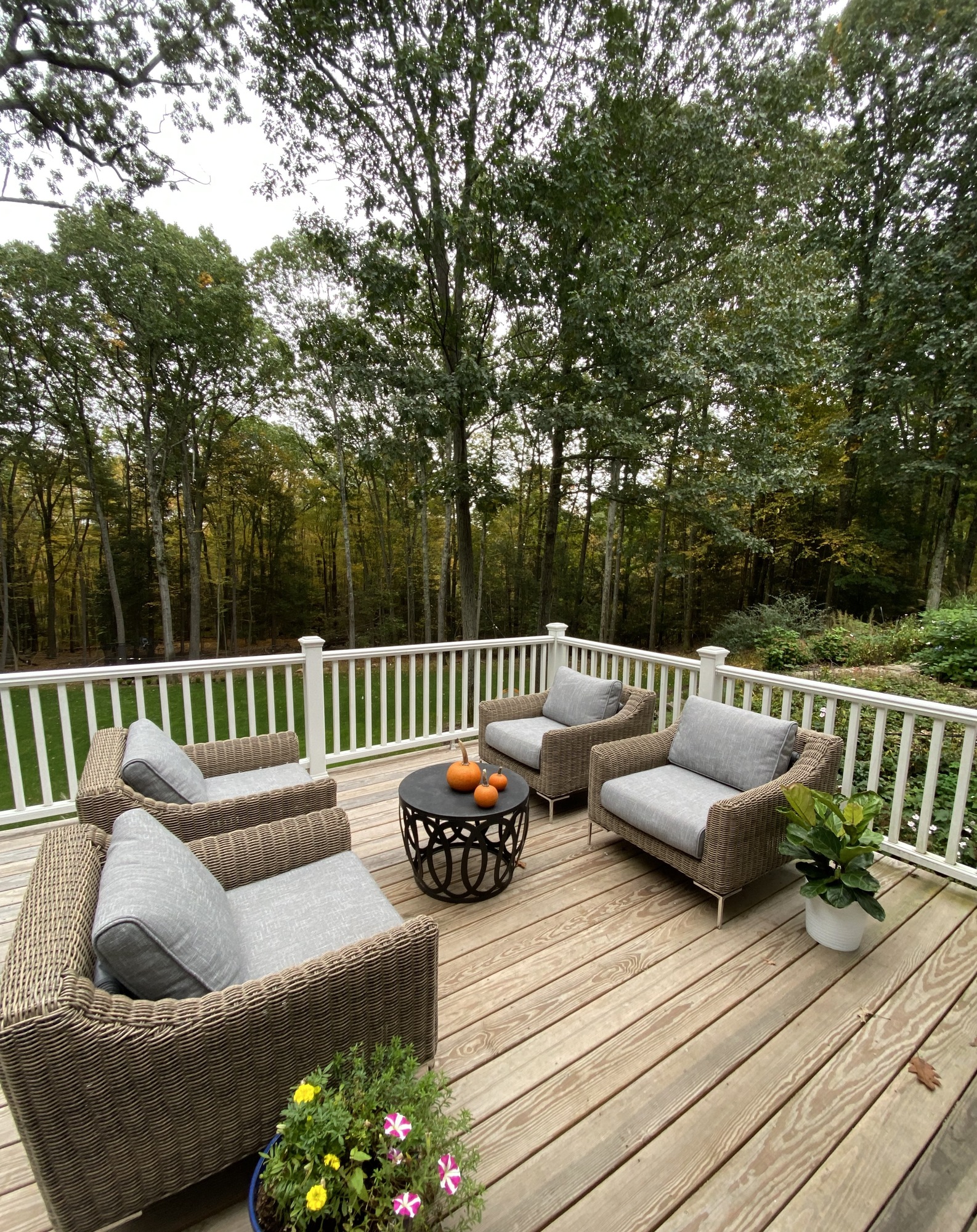 A Peaceful “Treehouse” in Weatogue, CT - Photo 3