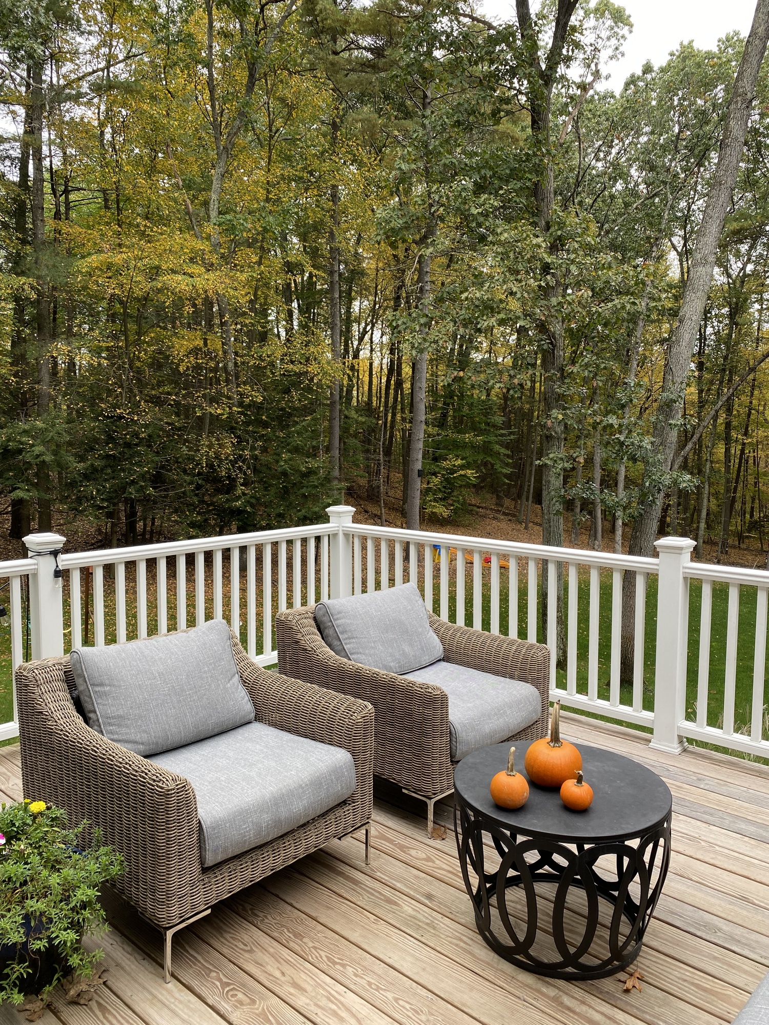 A Peaceful “Treehouse” in Weatogue, CT - Photo 4