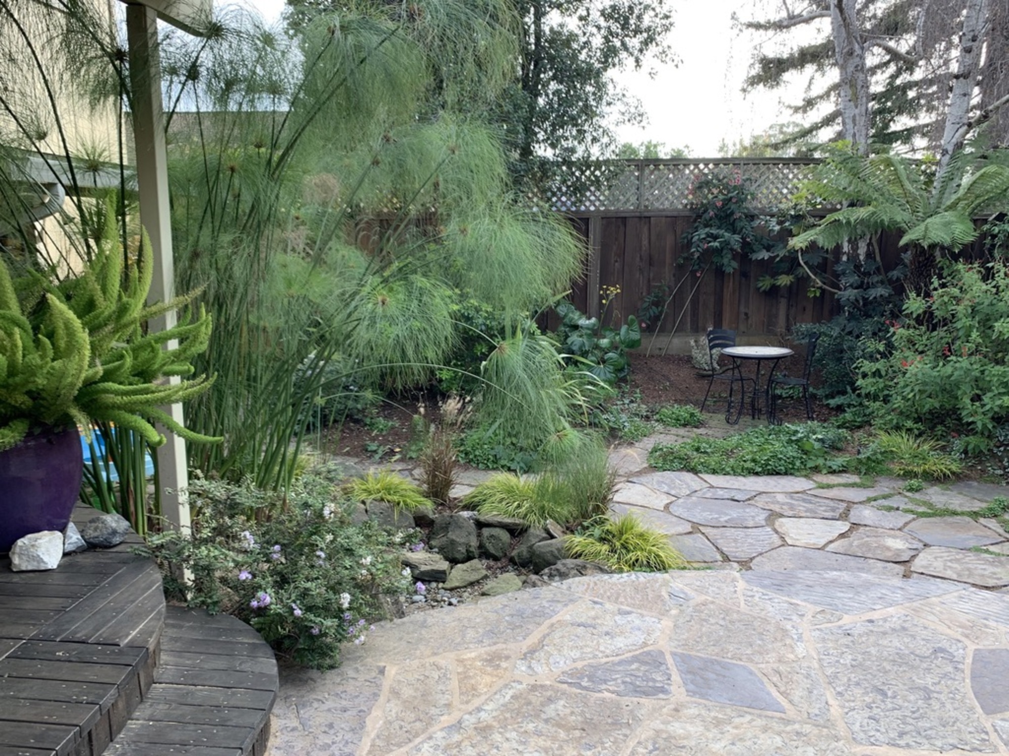 Golden Hour in A Zen Santa Cruz Backyard - Photo 4