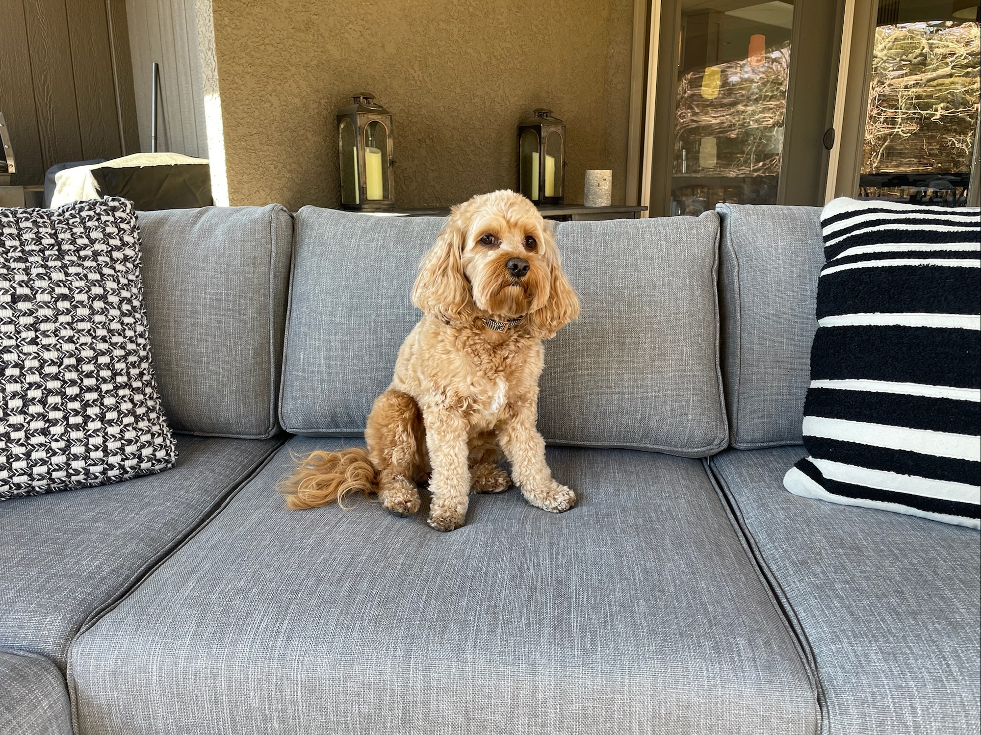 A Busy Family’s Outdoor Extended Living Room - Photo 6