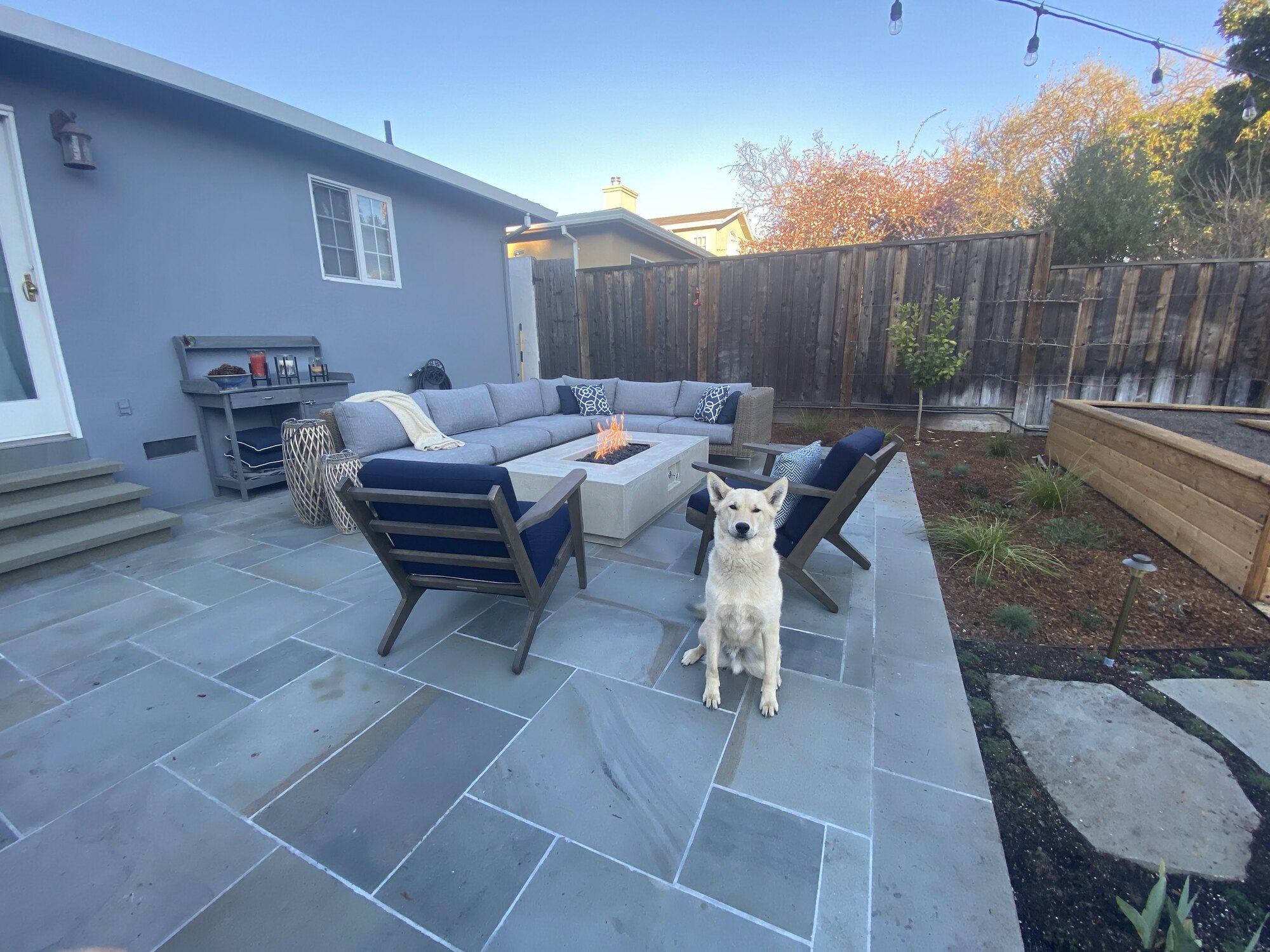 A Backyard Designed Around Comfort and Cooking - Photo 9