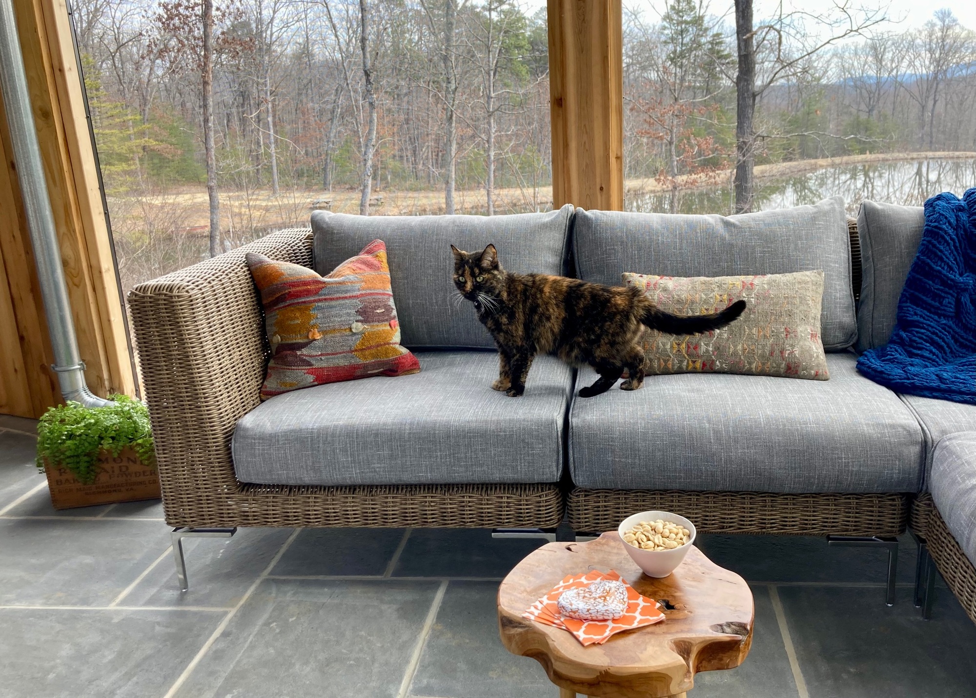 A Vineyard-Adjacent Country Home with Multiple Outdoor Spaces - Photo 5