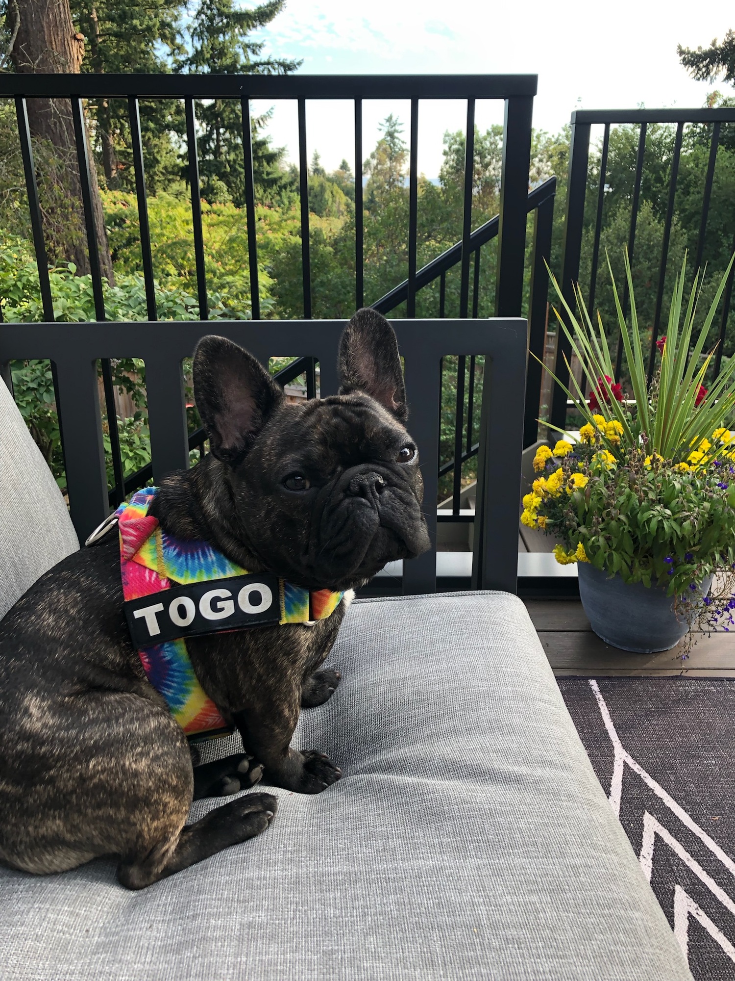 3 Zones For Outdoor Living in Seattle, WA - Photo 6