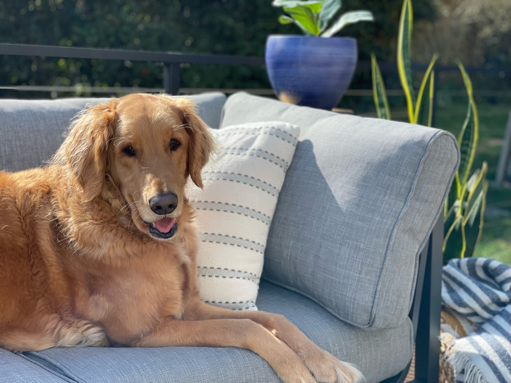 A New DIY Deck in Seattle, WA - Photo 7