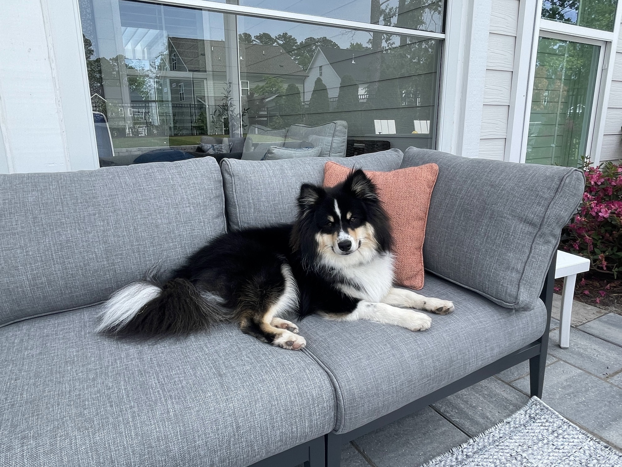 A 5th Grade Teacher’s Poolside Escape in Fuquay Varina, NC - Photo 7