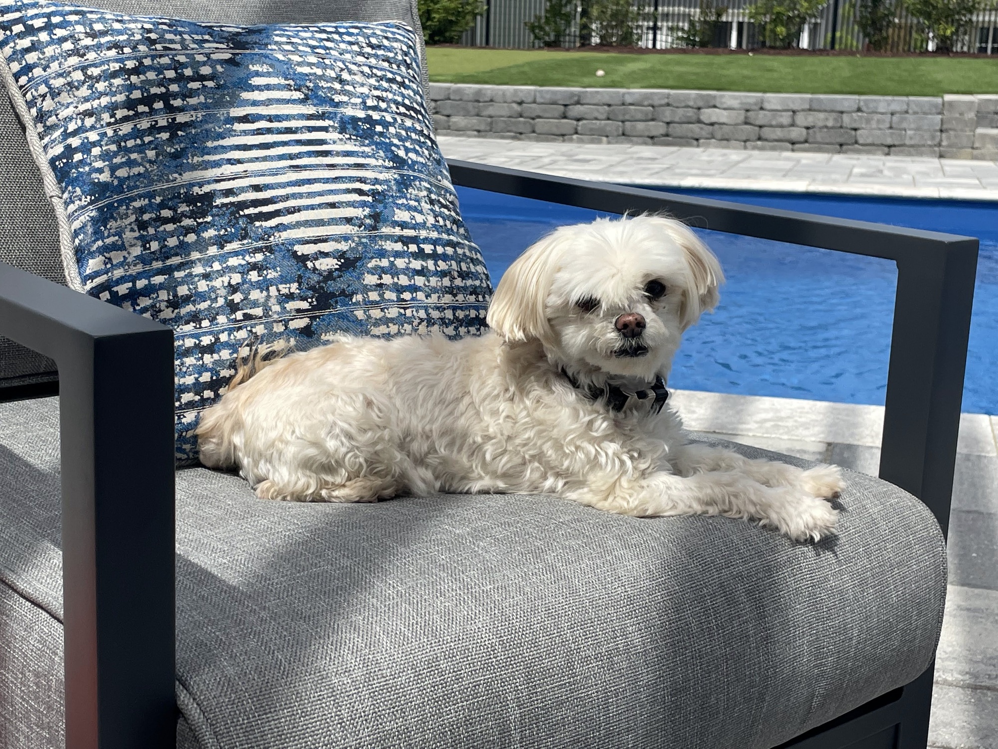 A 5th Grade Teacher’s Poolside Escape in Fuquay Varina, NC - Photo 8