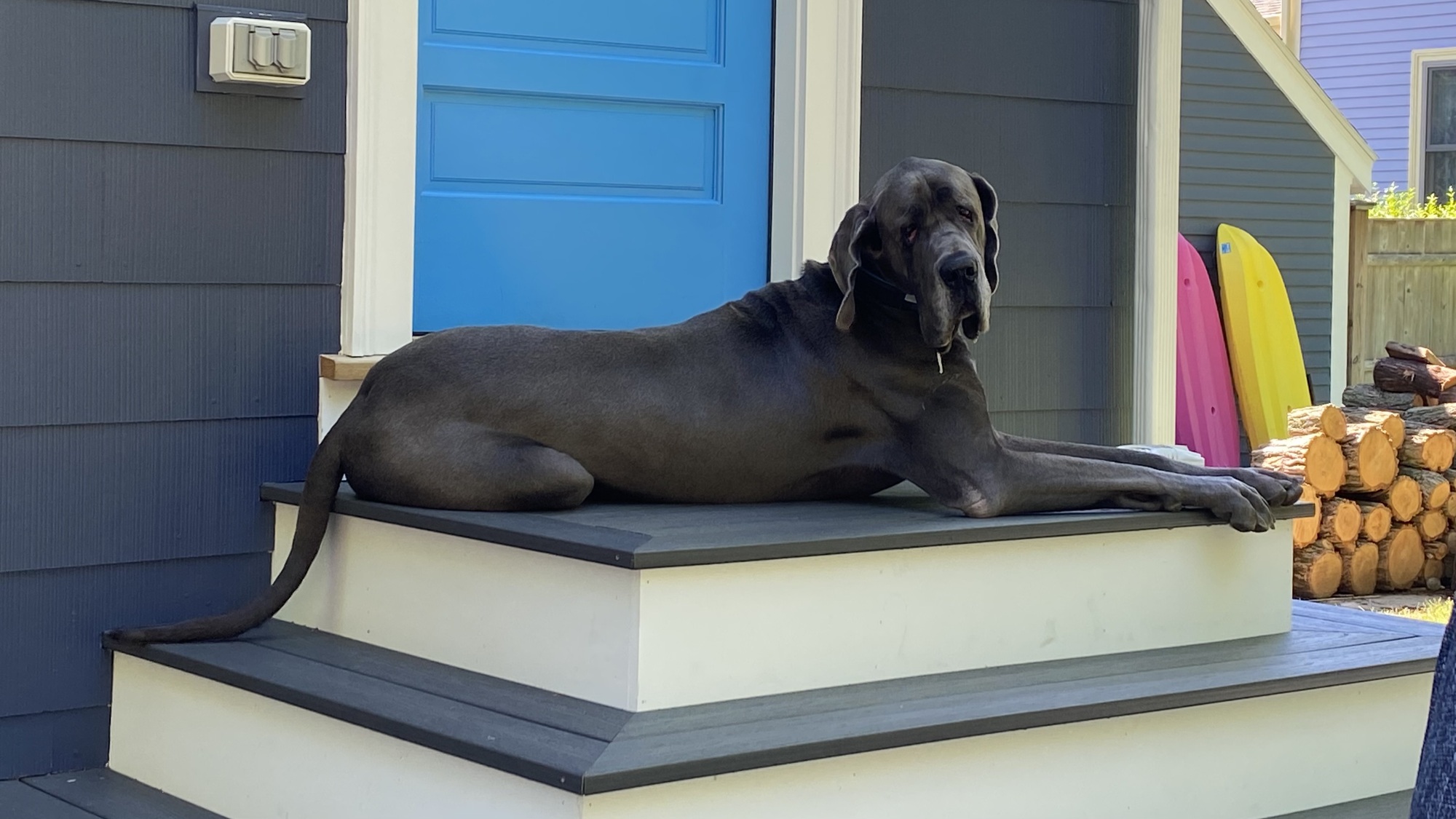 A Cozy Backyard Surrounded by Trees in Marblehead, MA - Photo 10