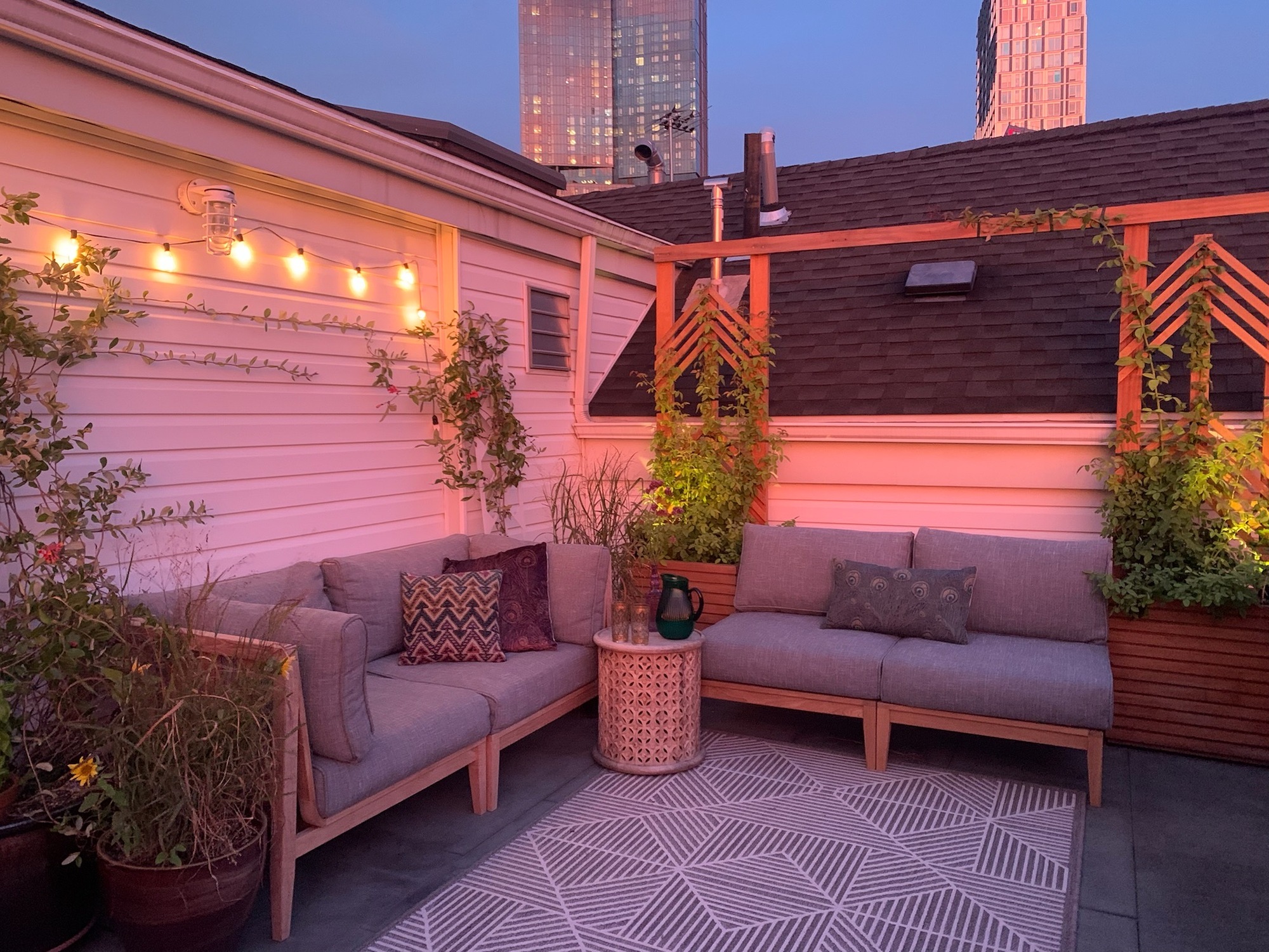 A Writer/Photographer’s Brooklyn Rooftop Meadow - Photo 6