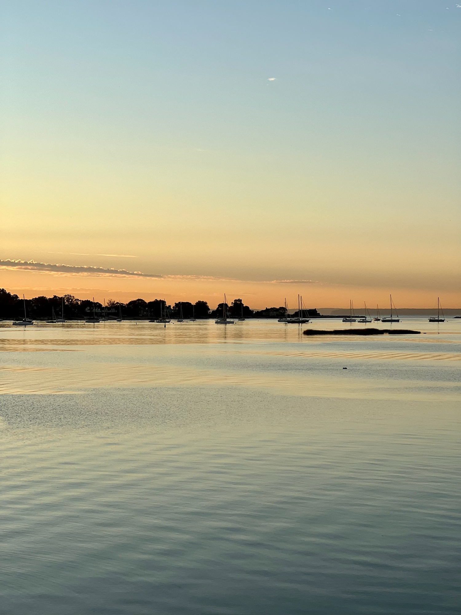 Backyard with a Sea View in Stamford, CT - Photo 9