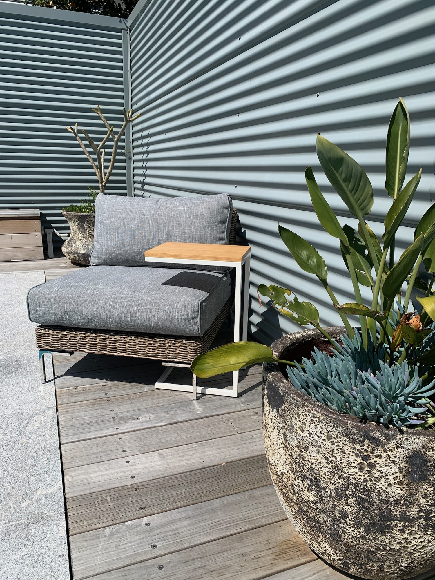 A Newly Designed Backyard in Parkdale - Photo 4