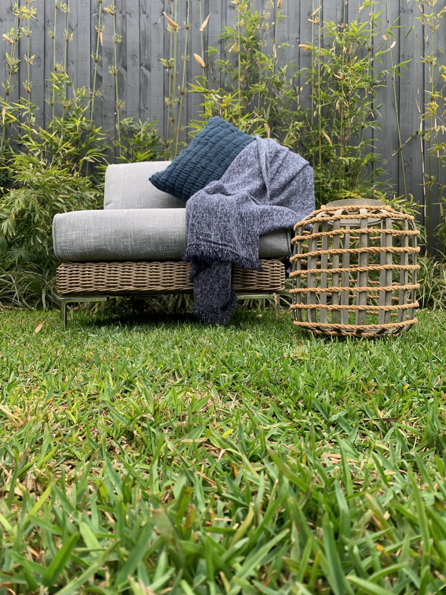 A Newly Designed Backyard in Parkdale - Photo 6
