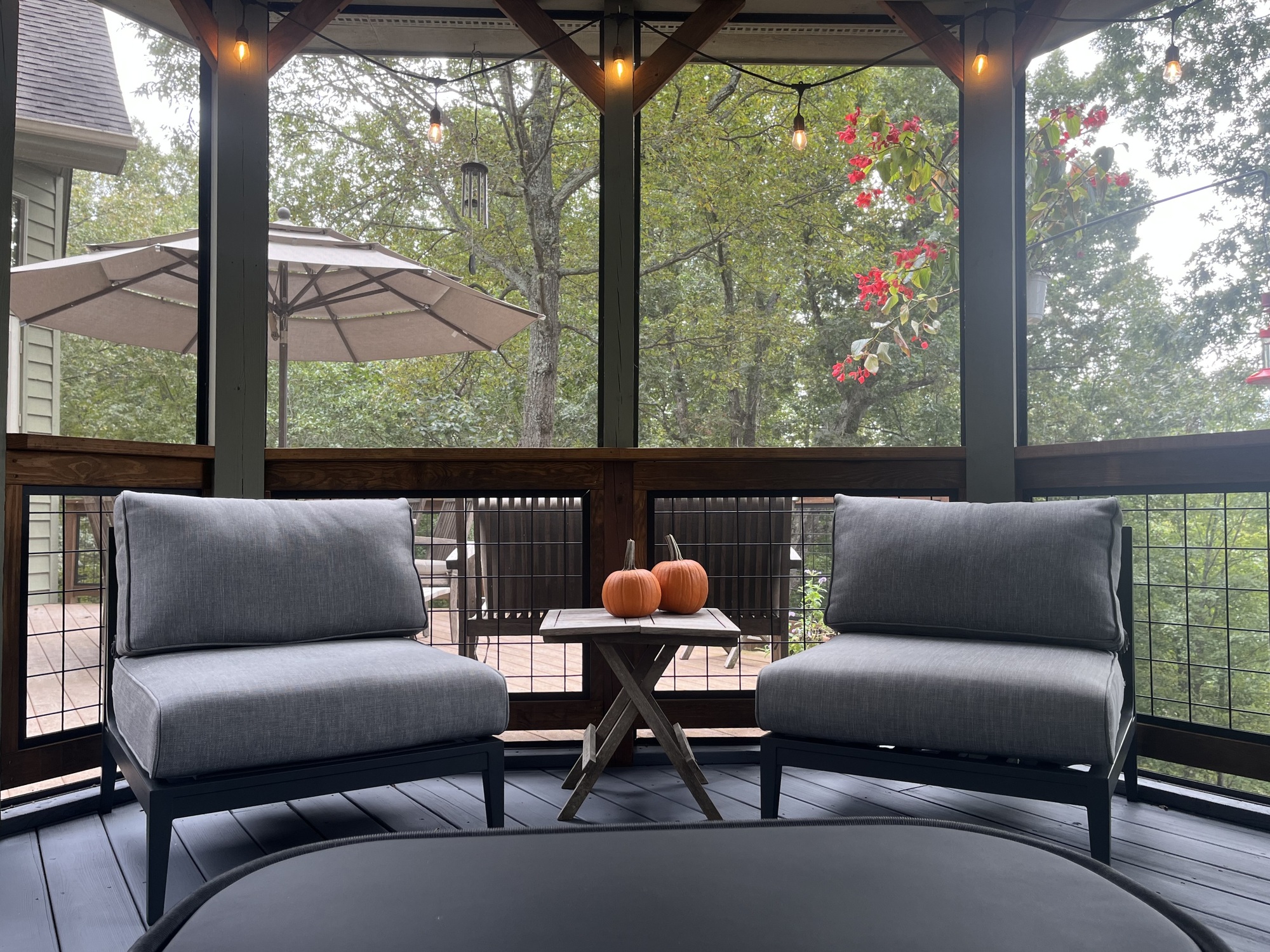 A Deck with Views of the Blue Ridge Mountains - Photo 2