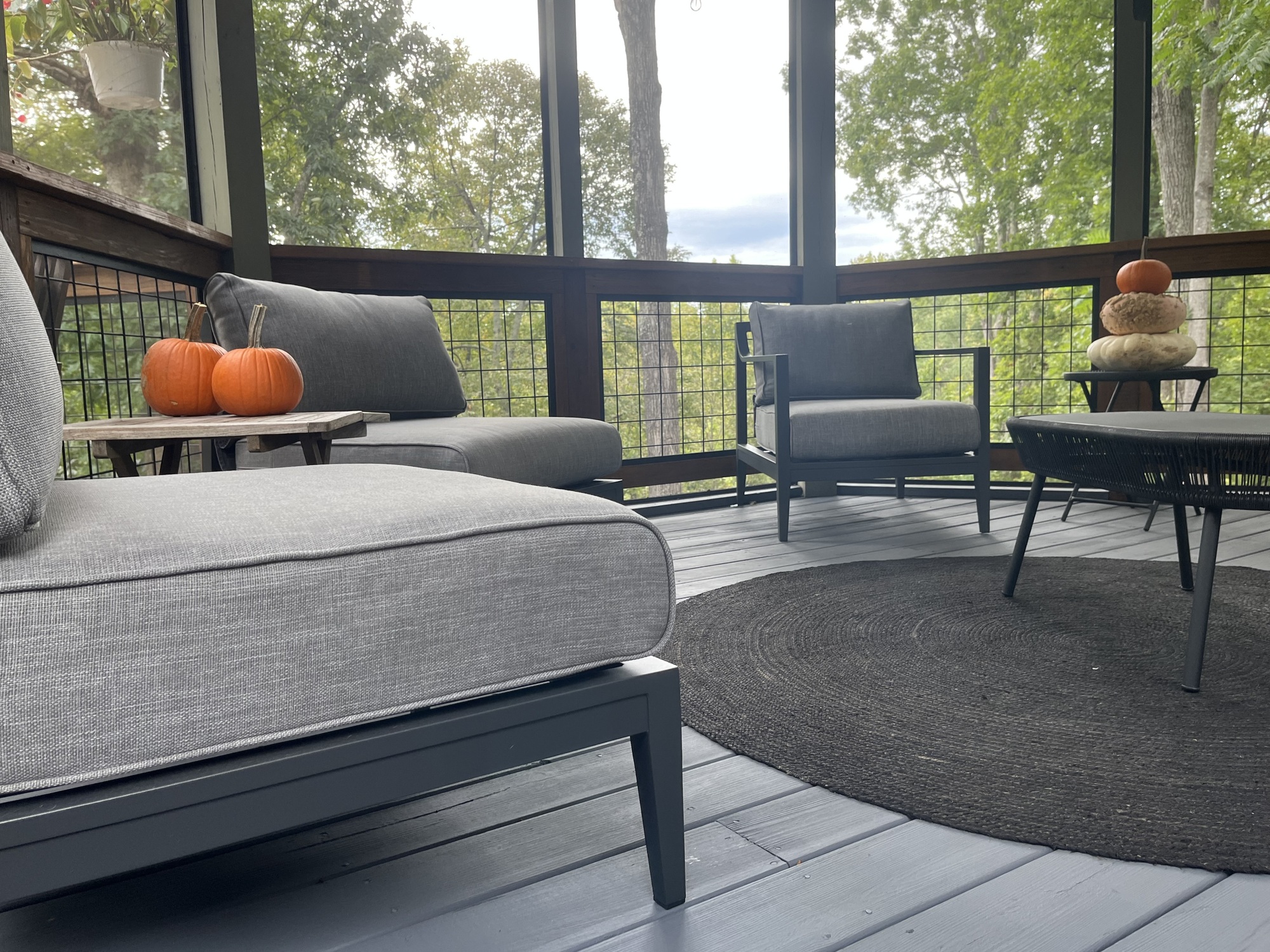 A Deck with Views of the Blue Ridge Mountains - Photo 4