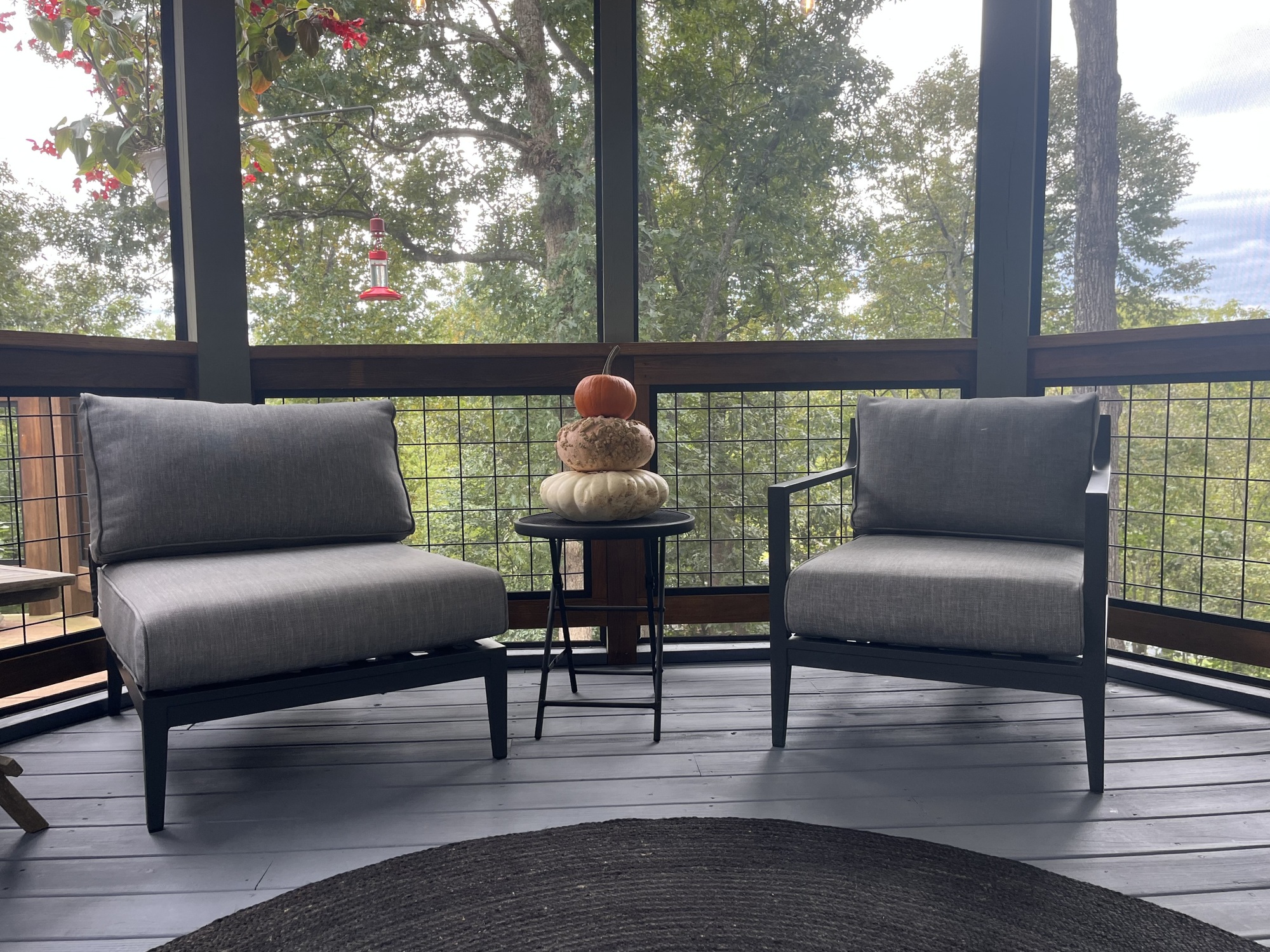 A Deck with Views of the Blue Ridge Mountains - Photo 5