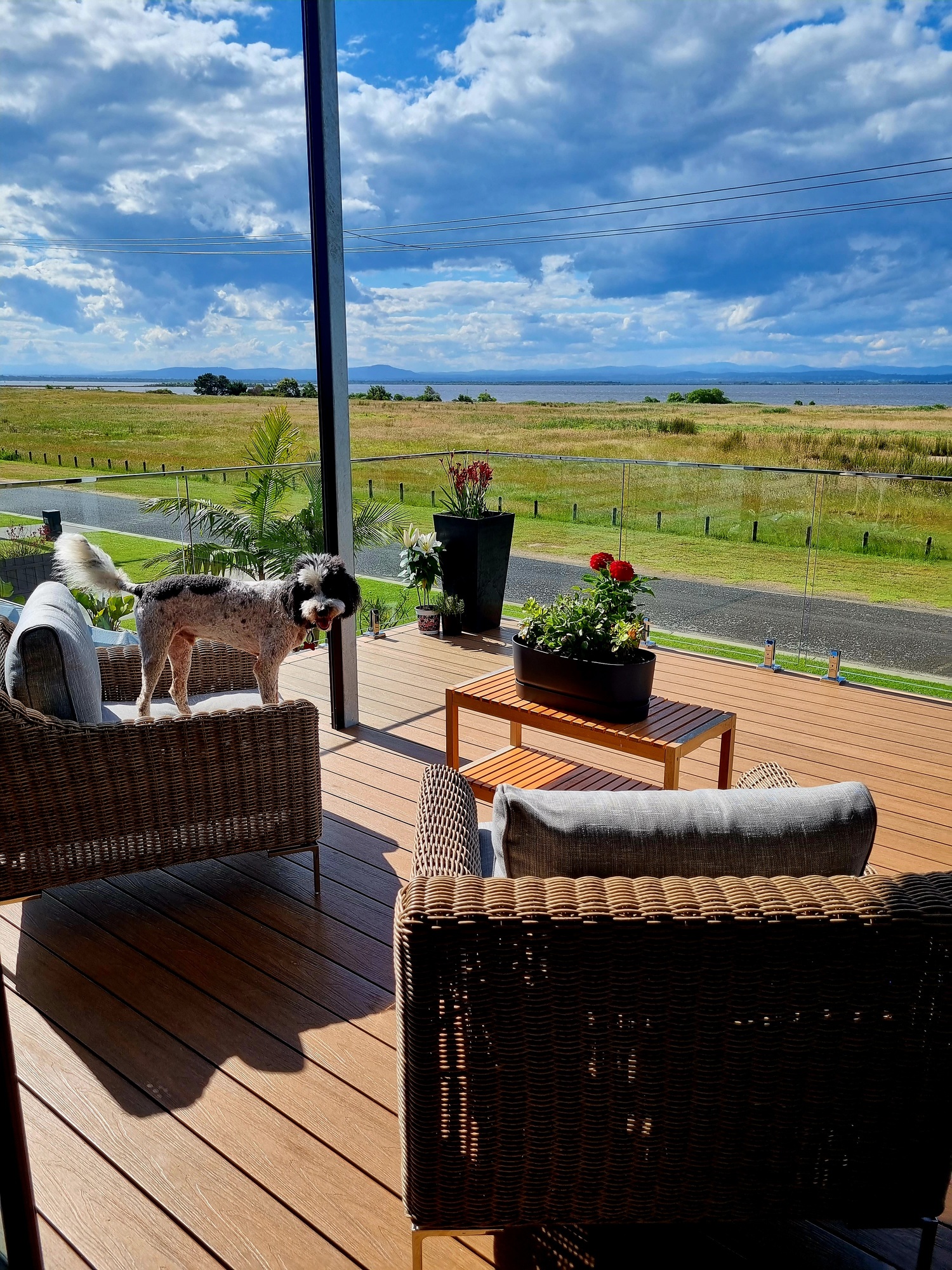 A Reflective Space on a Nature Reserve in Paynesville, VIC - Photo 2