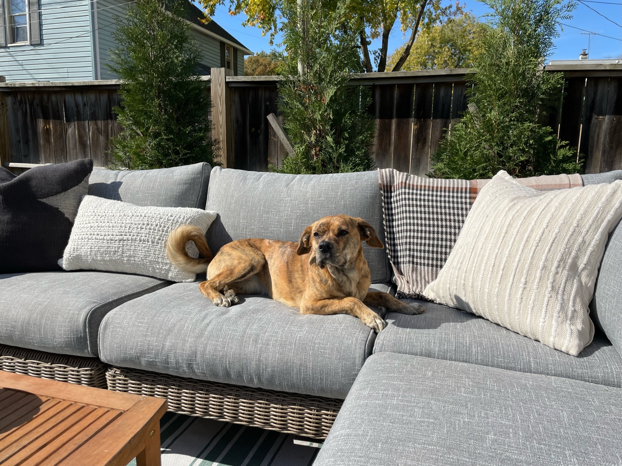 Backyard hangout in the German Village area - Photo 5