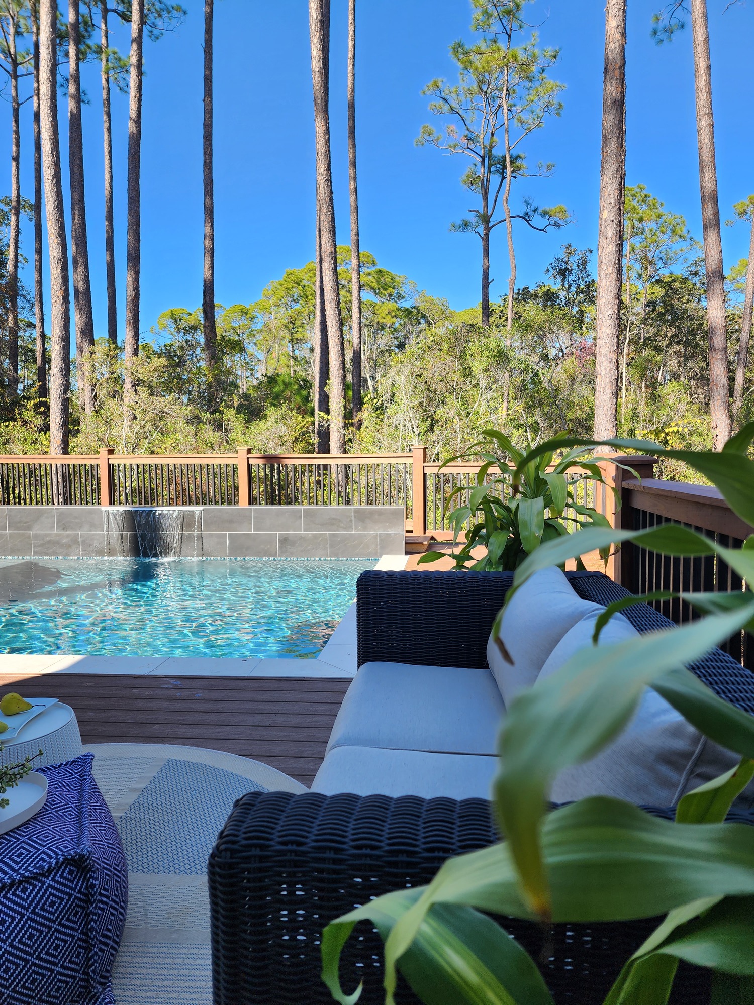 A Designers Own Backyard Project in Inlet Beach, FL - Gallery photo 6 of 6