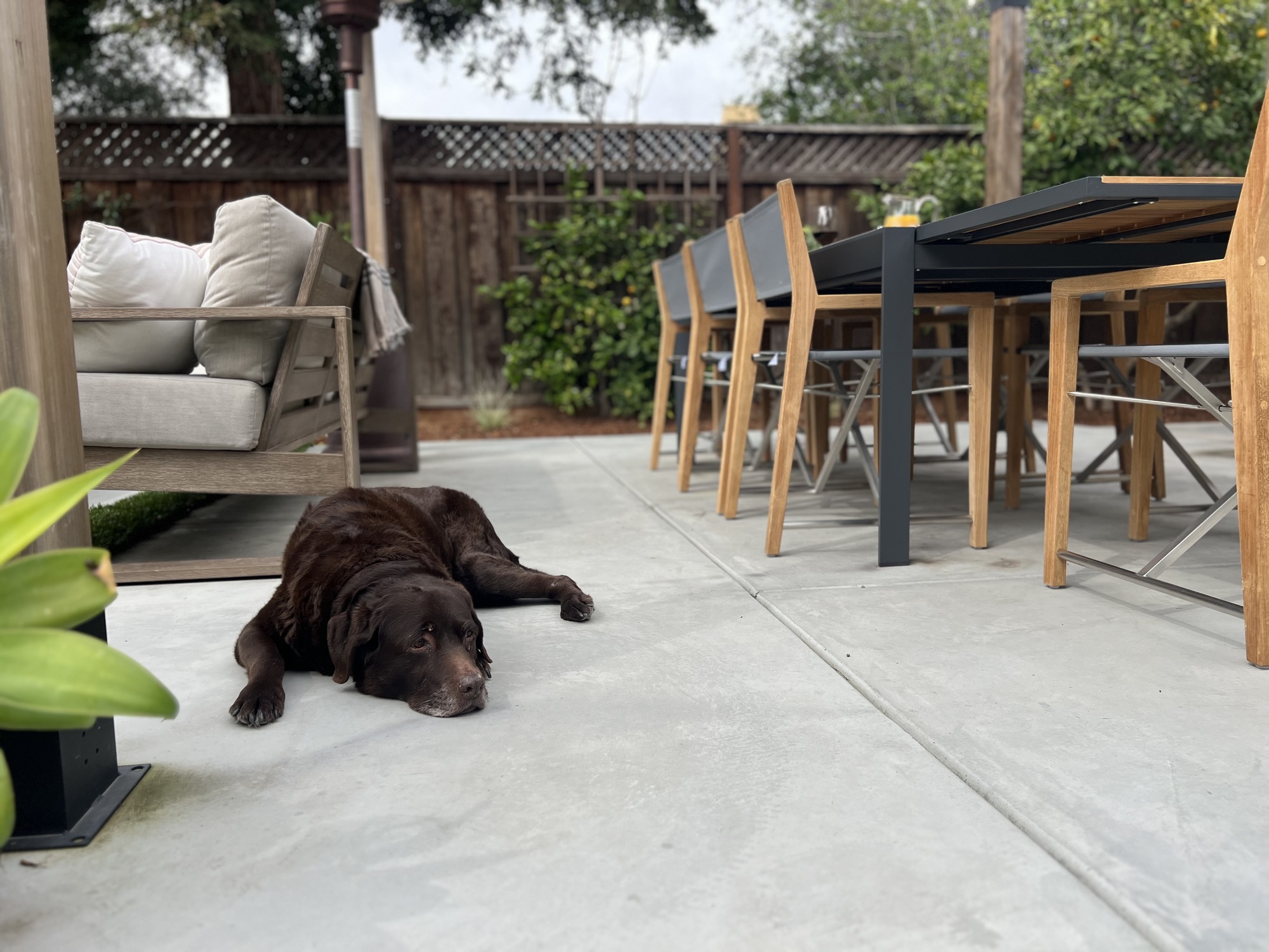 Al Fresco Dining with the Whole Family - Photo 4